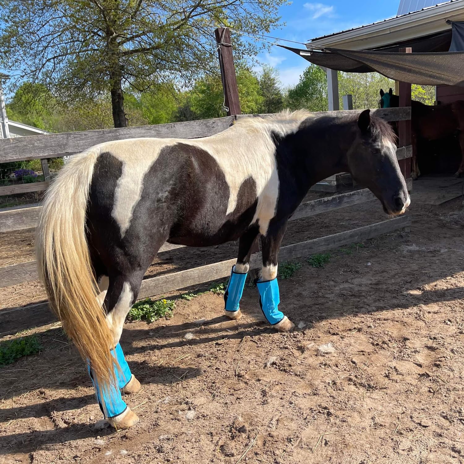 Nizhome 8 Pack Horse Fly Boots, Horse Leggings Set Of 8 Loose Fitting & Non-Slip, Breathable Mesh Fitting Boots For Horses Reduc