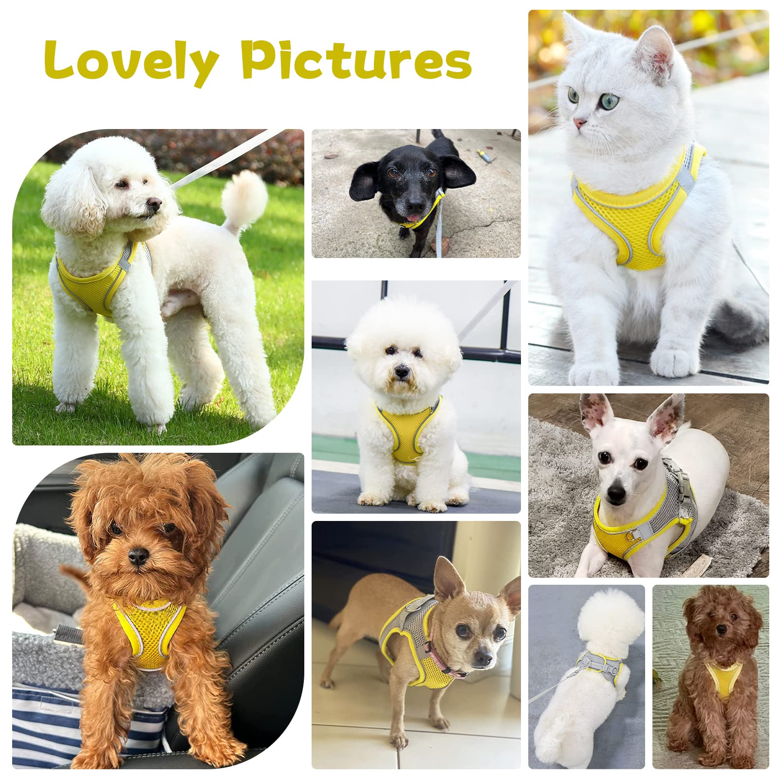 Petpubgnzs Soft Small Dog Harness And Leash Set Step In Air Mesh Puppy Harness Leash Easy Walk Dog Harness Vest Adjustable Refle