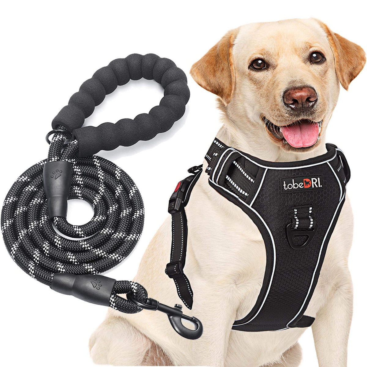 Tobedri No Pull Harness With A Free Heavy Duty 5Ft Leash For Medium Large Dog Adjustable Reflective Oxford Easy Control (L (Neck