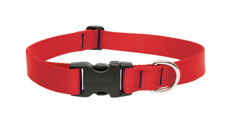 LupinePet Basics 1&quot; Red 12-20&quot; Adjustable Collar for Medium and Larger Dogs