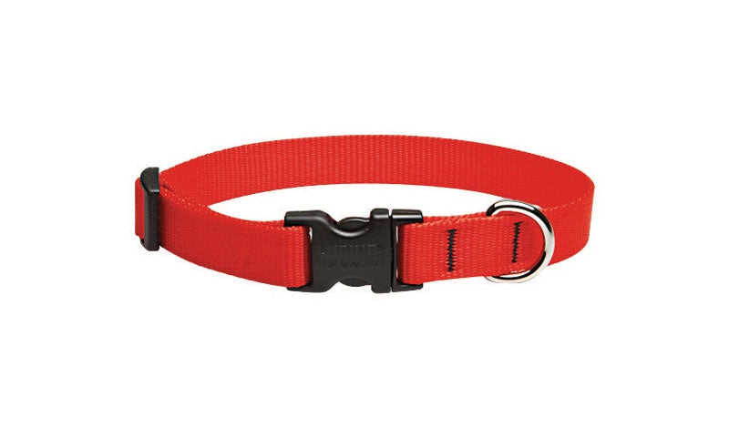DOG COLLAR 9-14 ADJ RED (Pack of 1)