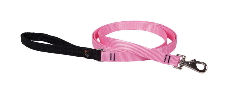 DOG LEASH 6FT 3/4 PINK (Pack of 1)