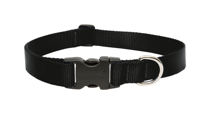 DOG COLLAR 16-28ADJ BLK (Pack of 1)