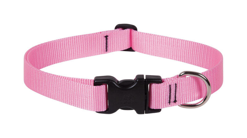 DOG COLLAR12-20ADJ PINK (Pack of 1)