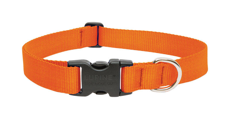 Lupinepet Basics 1' Blaze Orange 12-20' Adjustable Collar For Medium And Larger Dogs