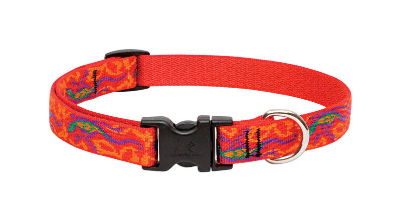 LupinePet Originals 3/4&quot; Go Go Gecko 13-22&quot; Adjustable Collar for Medium and Larger Dogs