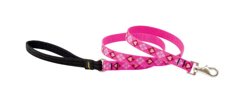 LupinePet Originals 3/4" Puppy Love 6-Foot Padded Handle Leash for Medium and Larger Dogs