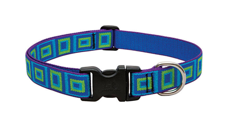 LupinePet Originals 1&quot; Sea Glass 12-20&quot; Adjustable Collar for Medium and Larger Dogs