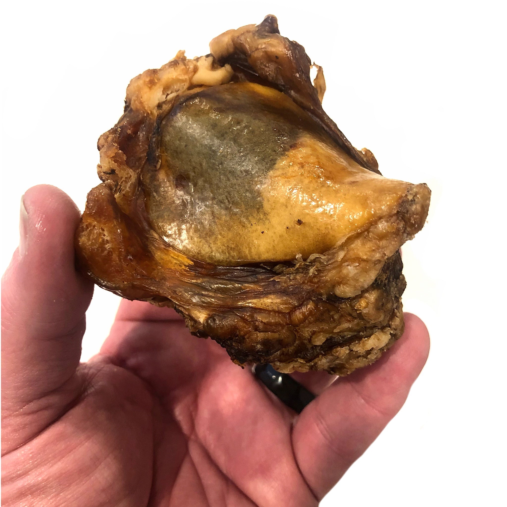 Beef Kneecap