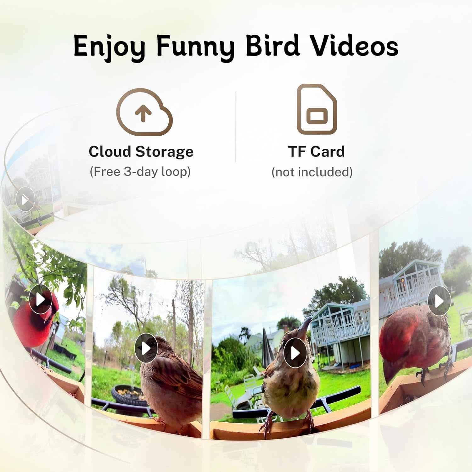 Smart Bird Feeder Camera 1080P AI Bird ID 1.5L