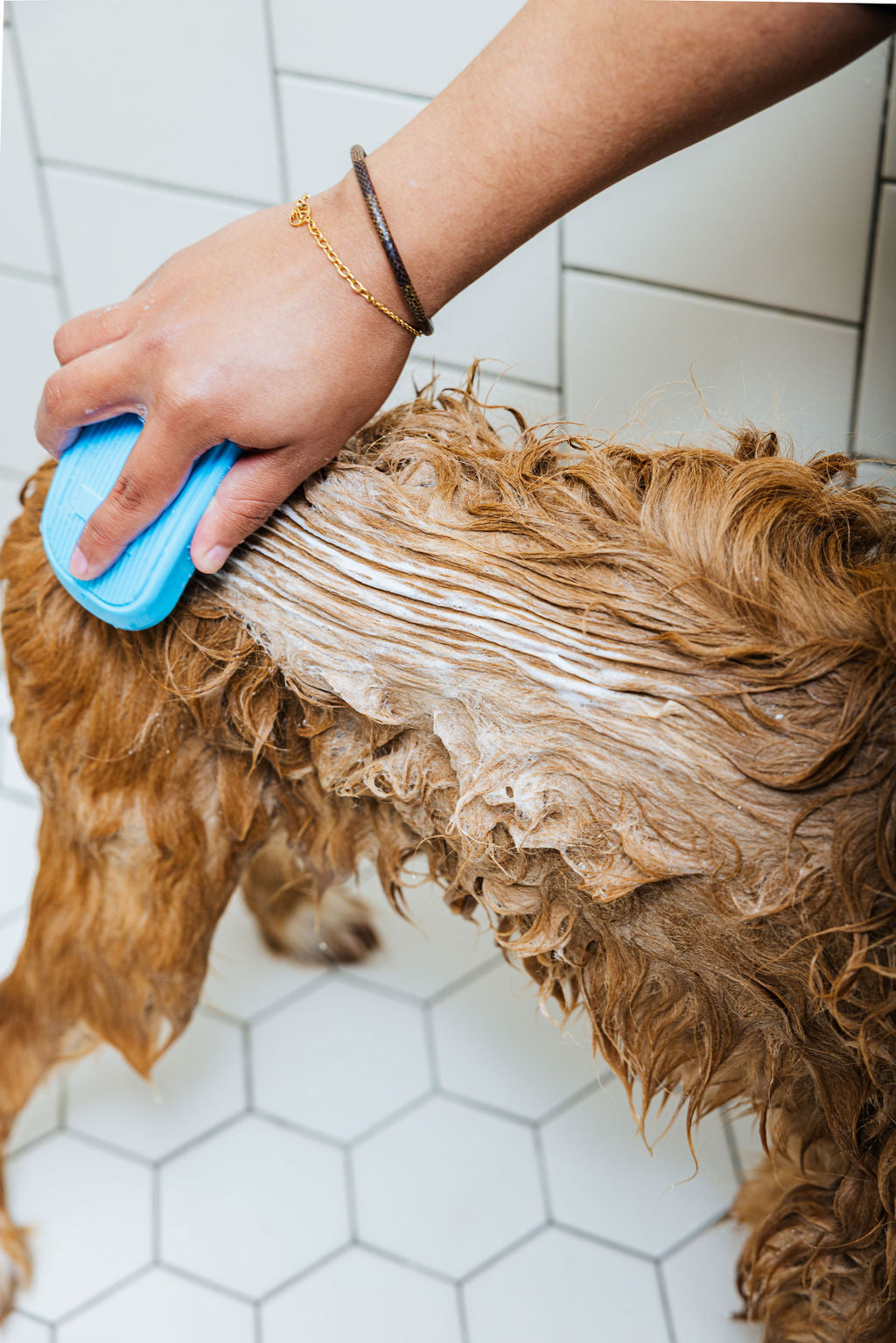 "Spaw" Day (Dog Shampoo & Conditioner Duo)
