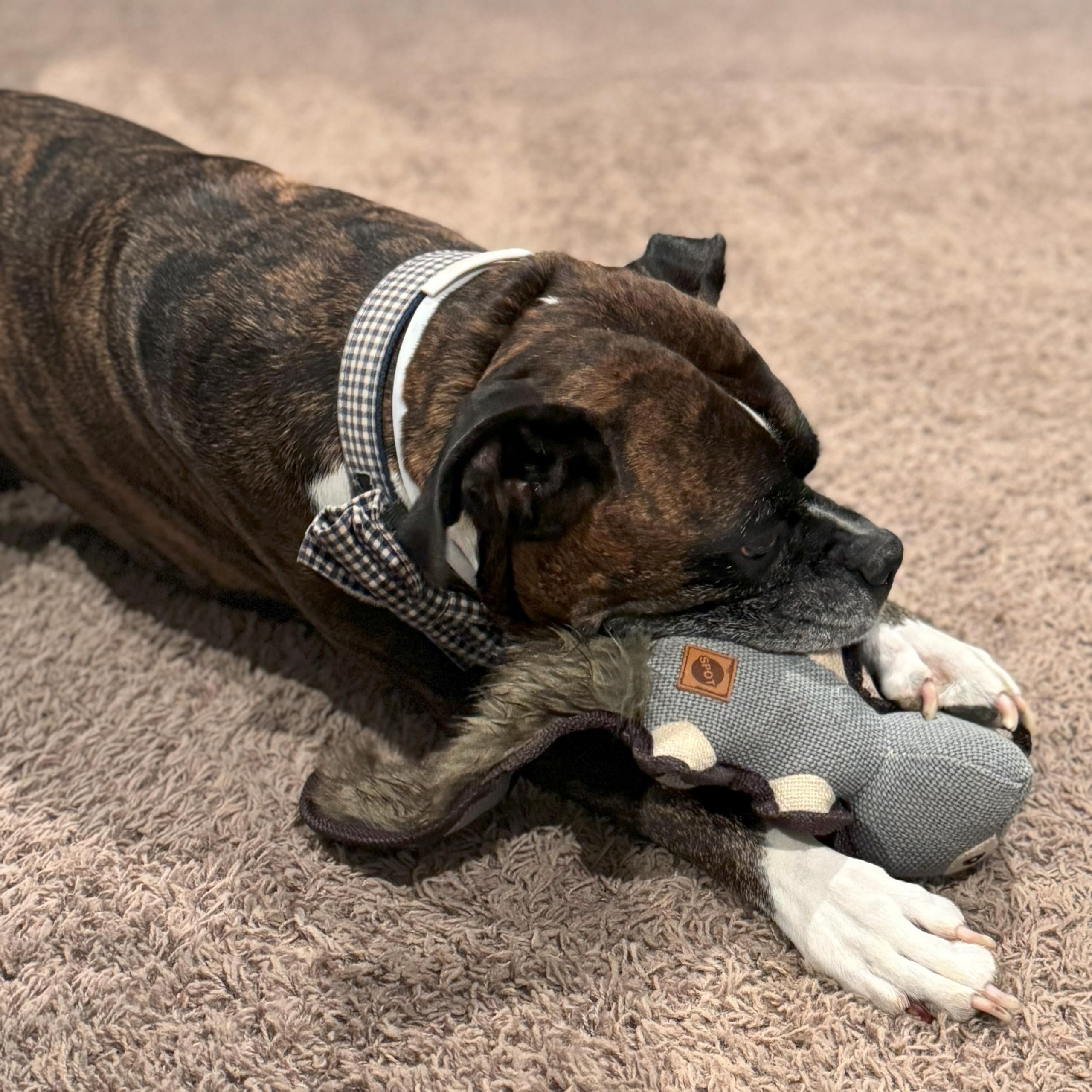 Spot Dura-Fused Hemp Friends - Dog Toy Made With Hemp Material, Fused With Tricot For Durablity, With Furry Plush Tail And Squeaker, Great For Light To Moderate Chewers - 18' Assorted Styles, 1 Piece
