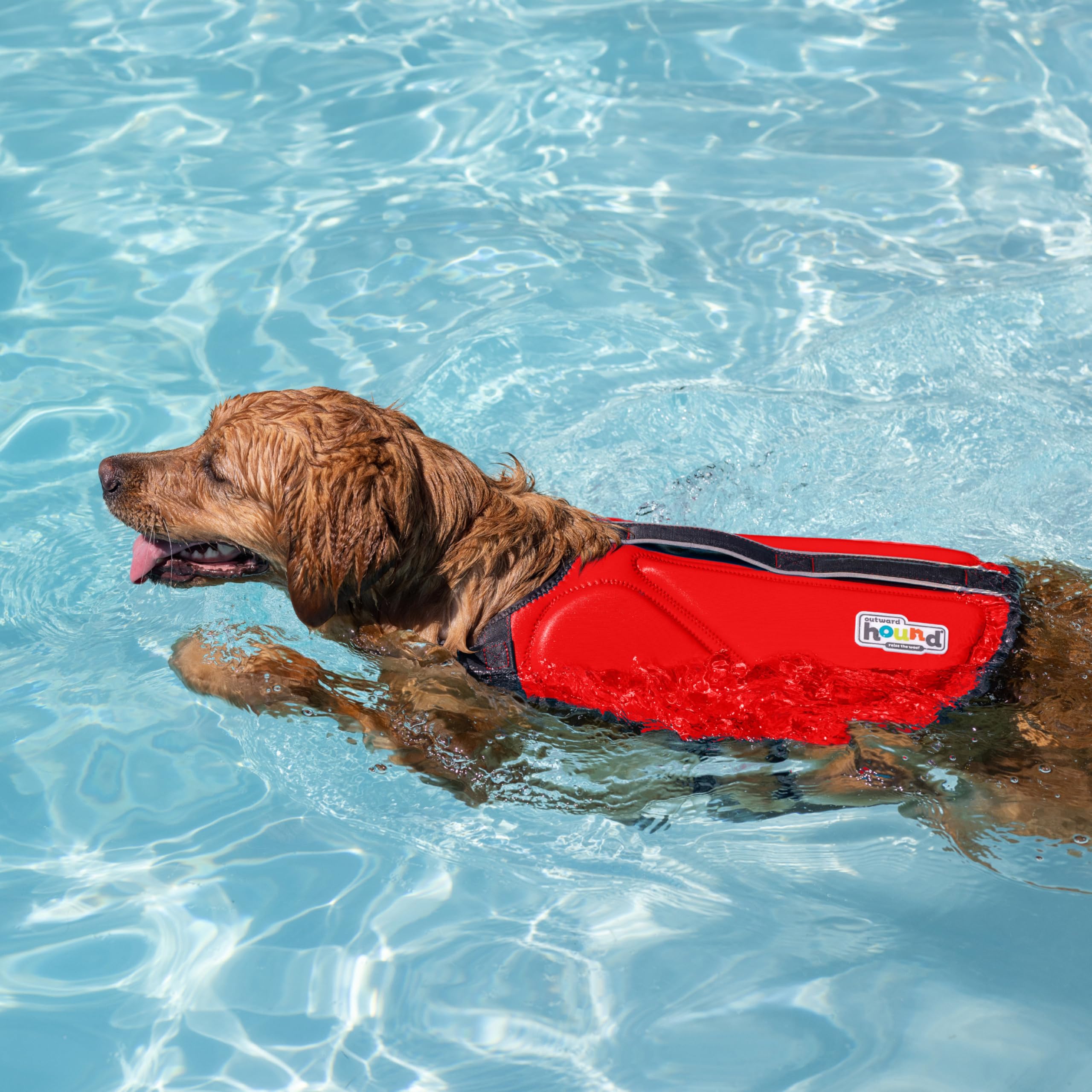 Outward Hound Dawson Swim Red Dog Life Jacket, Xs