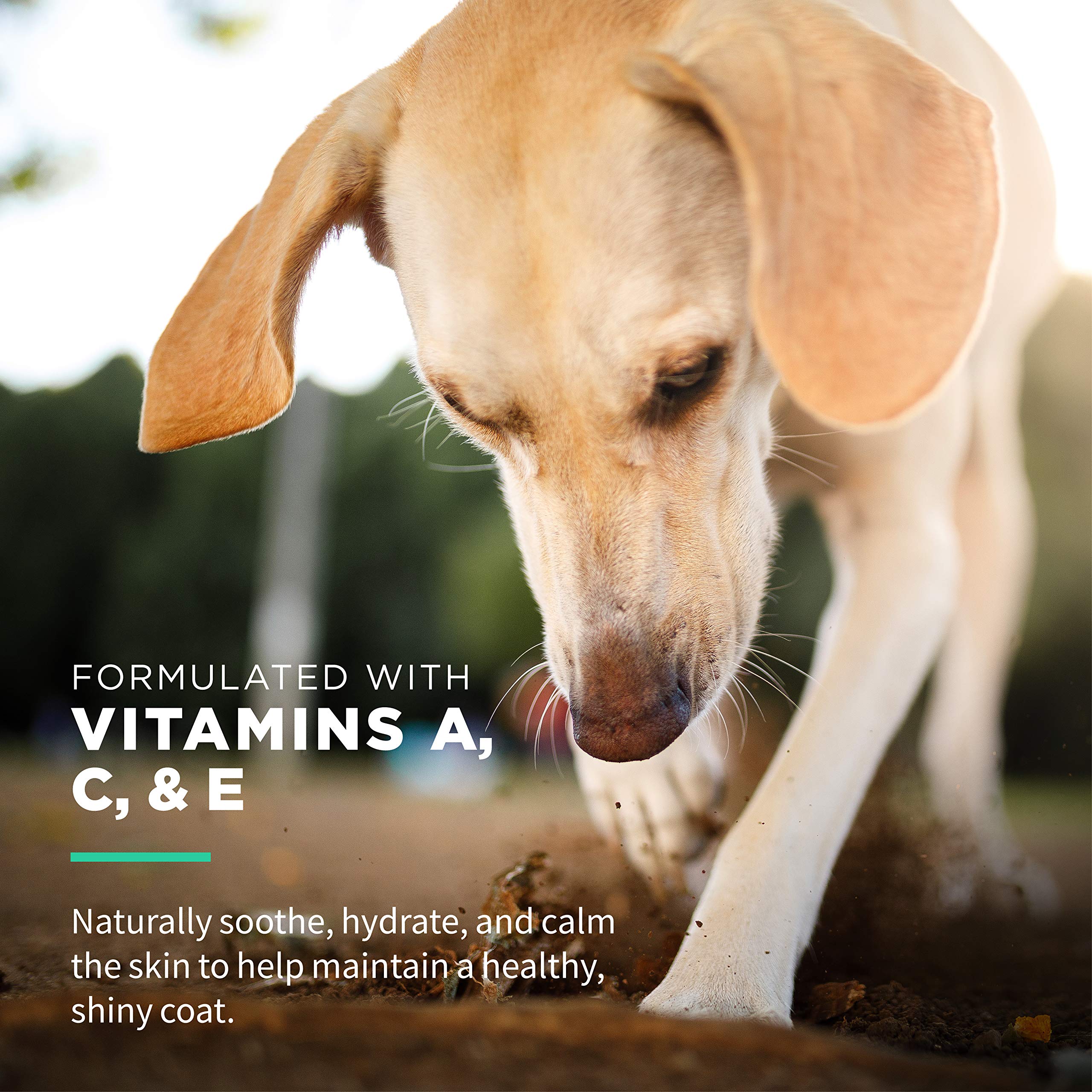 Wet Ones For Pets Hypoallergenic Multi-Purpose Dog Wipes With Vitamins A, C & E, 50 Count - 12 Pack | Fragrance-Free Hypoallerge