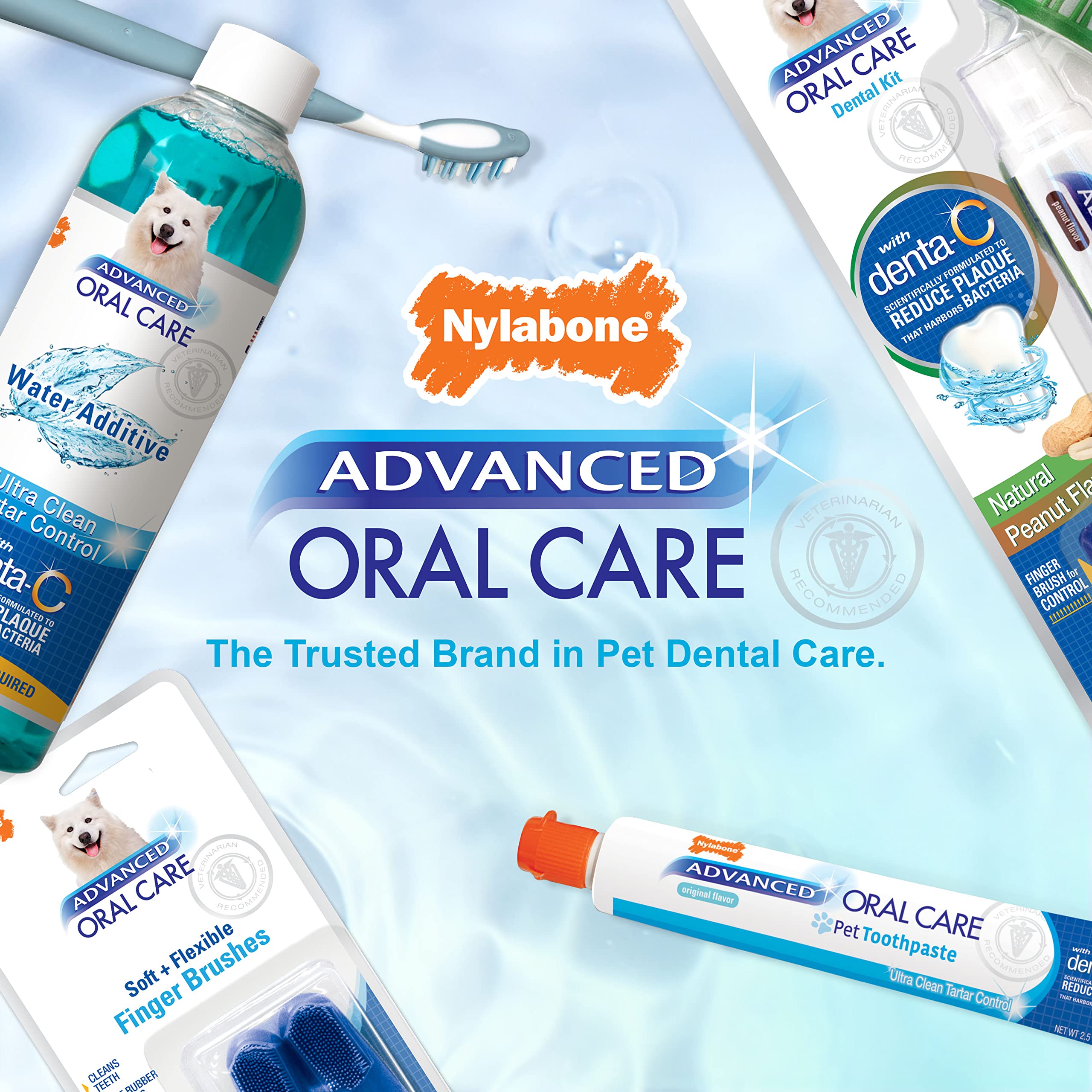 Nylabone Advanced Oral Care Senior Dog Dental Kit with Cushiony Soft-Bristle Toothbrush Senior 3 Count