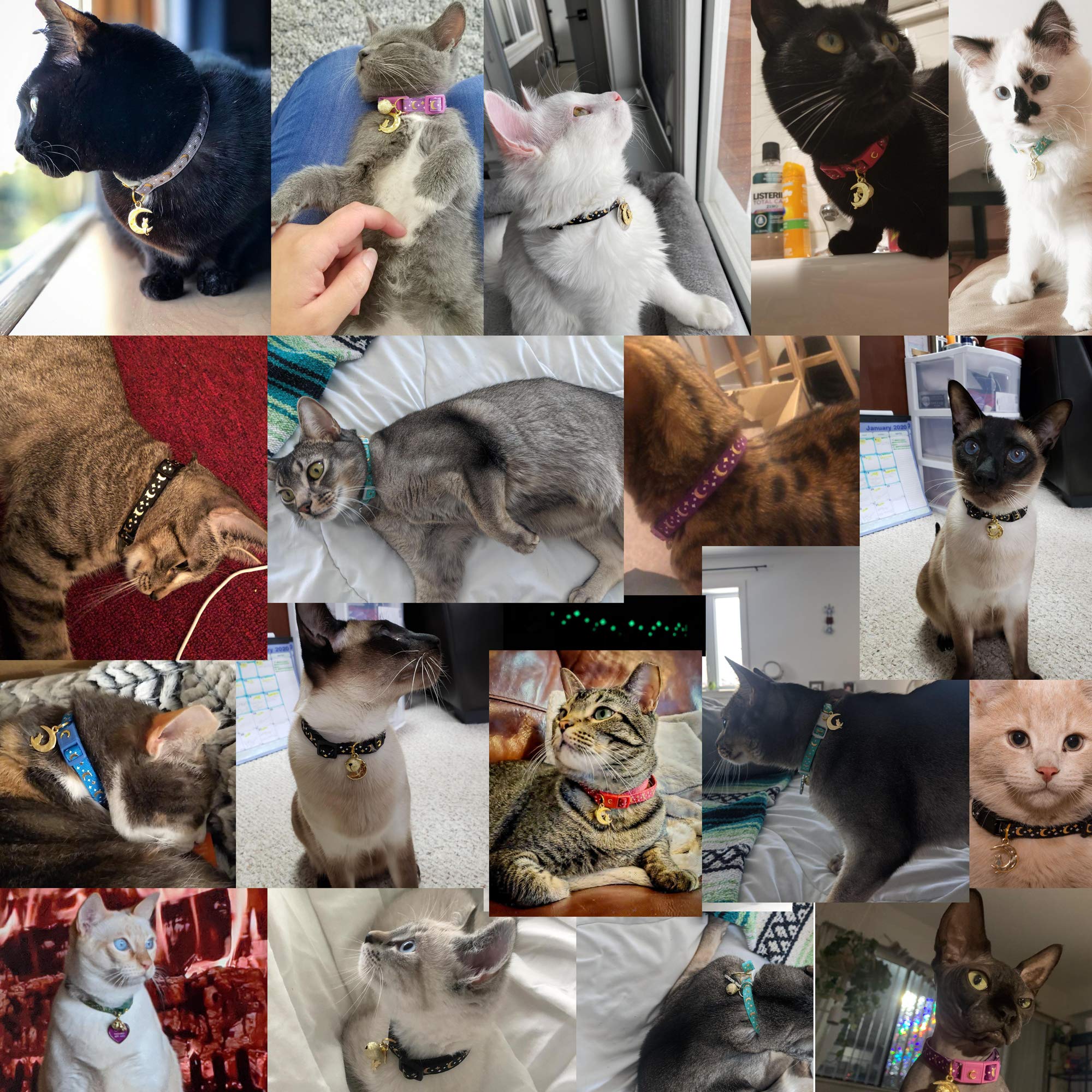 Waaag Cat Collars, Gold Moons And Stars Cat Collar, Safety Breakaway Cat Collar, Glow In The Dark (Standard 9'-15' Neck, Scarlet)