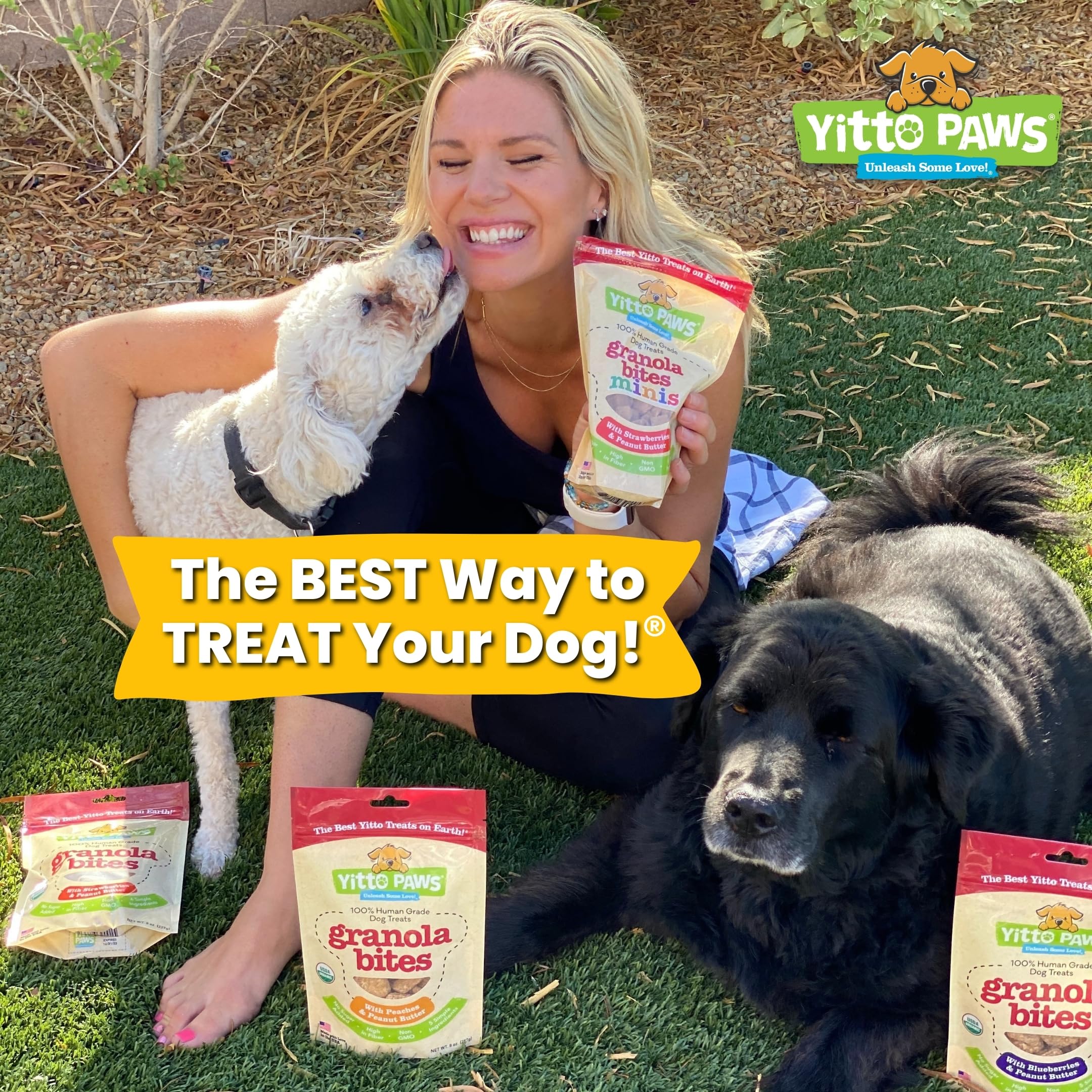 Crunchy Organic Peanut Butter Dog Treats - Fruit & Oats Healthy Dog Biscuits, Vegan All Natural Training Treats Made in USA - Lo