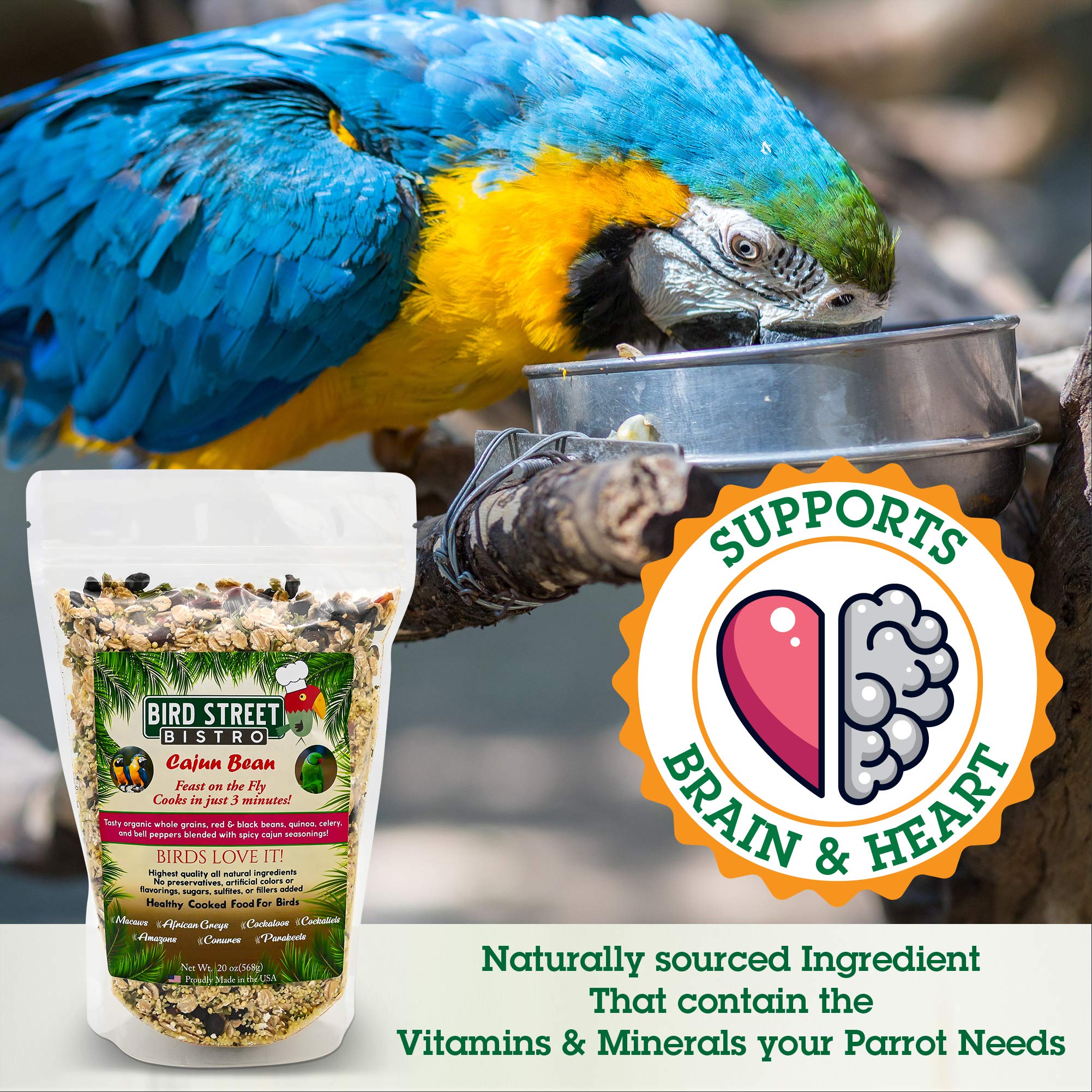 Bird Street Bistro Parrot Food - Parakeet & Cockatiel Food - Cooks in 3-15 min with Natural & Organic Grains, Legumes, Healthy F