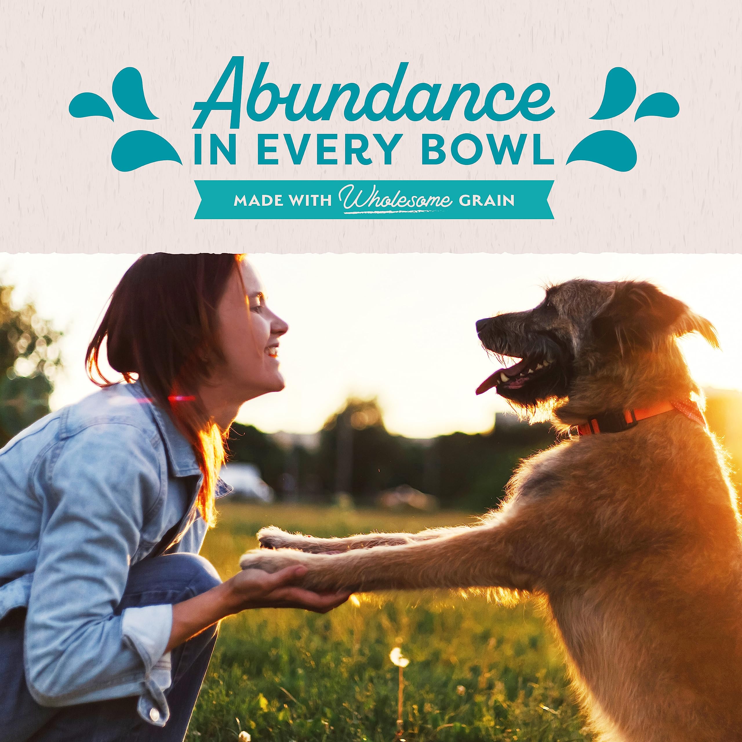 Natural Balance Original Ultra Adult Wet Dog Food, Chicken Formula with Brown Rice, Carrots & Potatoes, 13 Ounce Can (Pack of 12