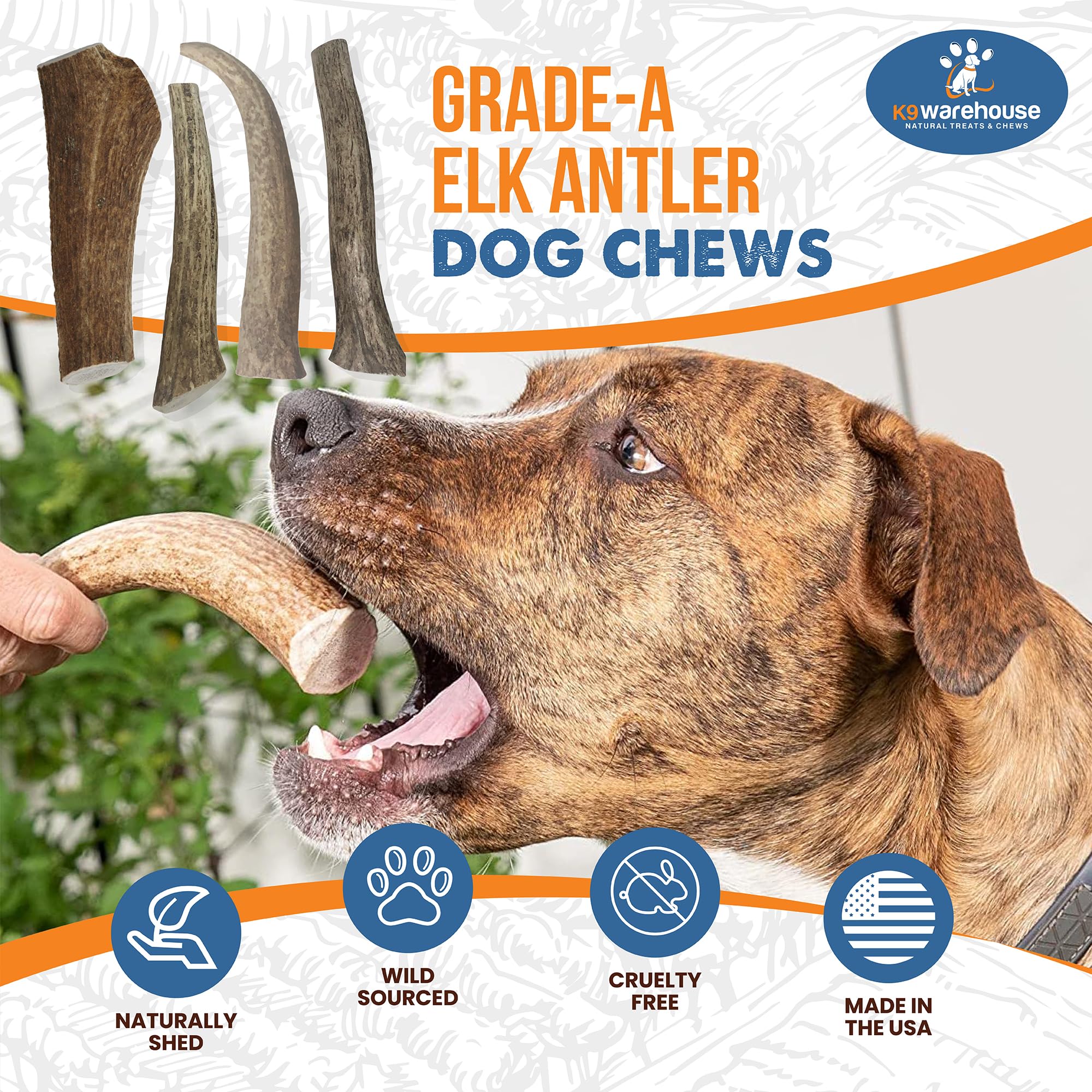 K9warehouse Natural Elk Antlers for Dogs - Premium Grade Dog Antler Chews - Long-Lasting Whole Deer Antles Ideal for Aggressive