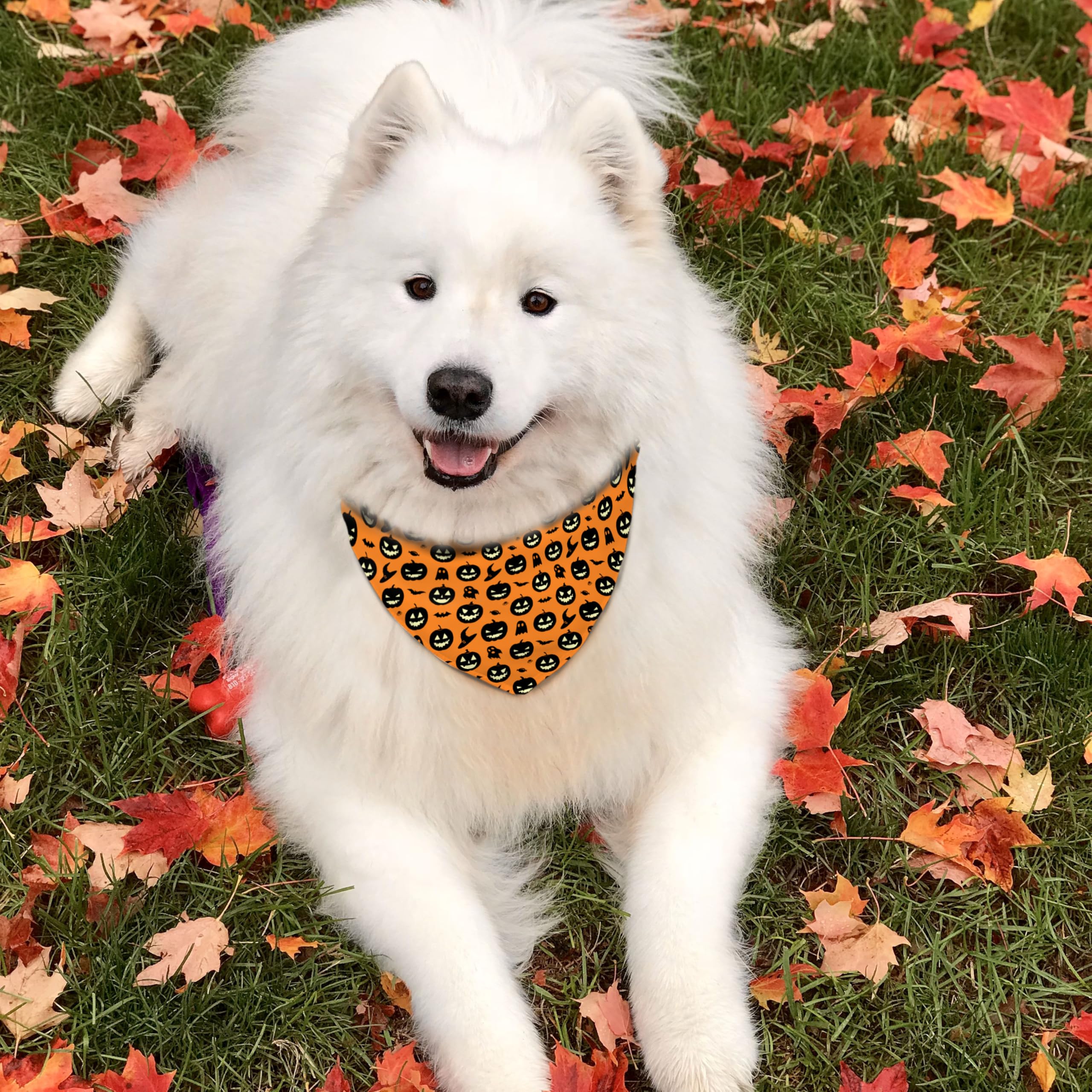 Fall Halloween Dog Bandanas Reversible 2 Pack Black Pumpkin Ghost Spider Web Cute Pet Bandanas For Dogs Adjustable Triangle Holi