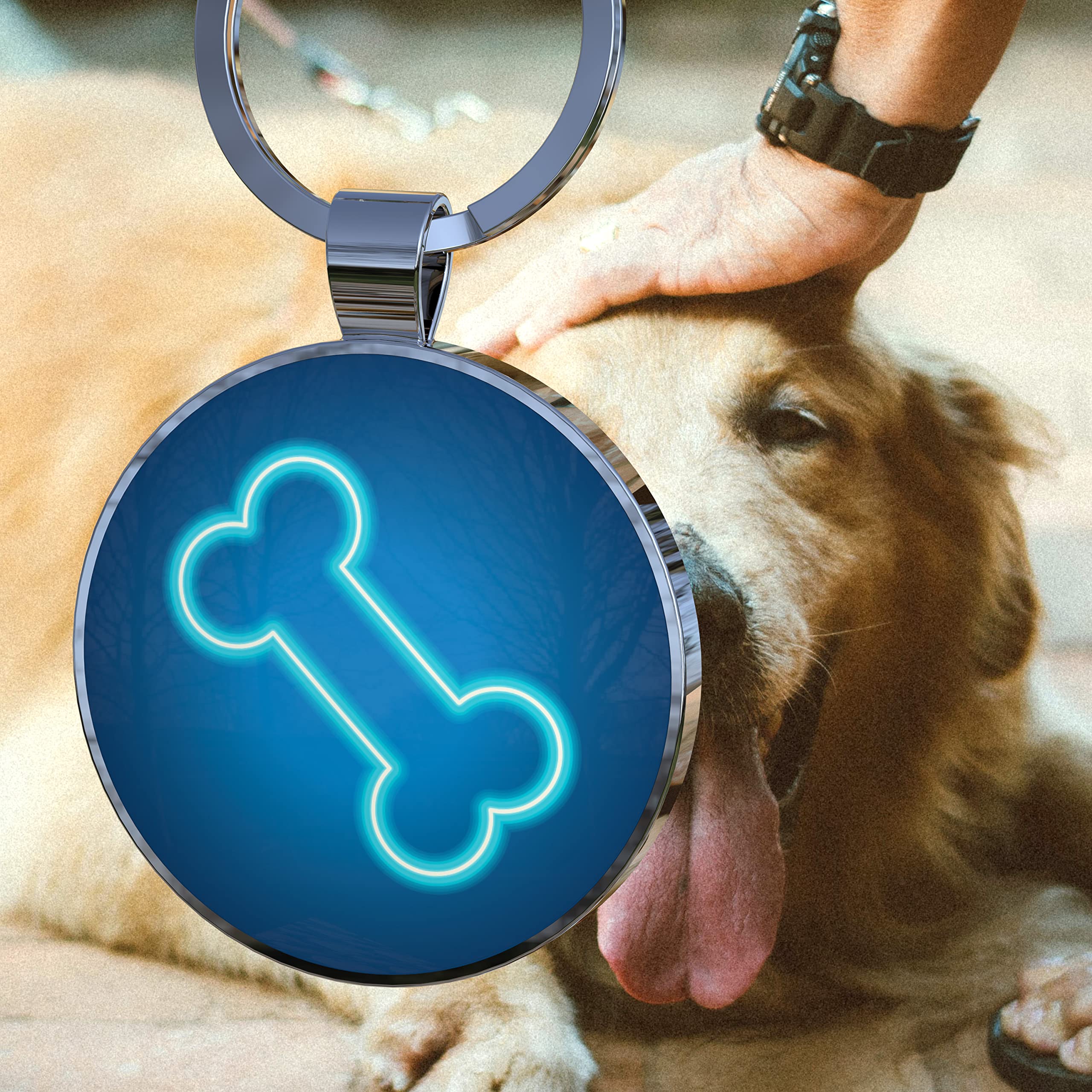 Kekid Qr Code Dog Tags, Personalized For Pets - Custom Name Id Tags - Free Online Scan & Receive Instant Location Alert Email
