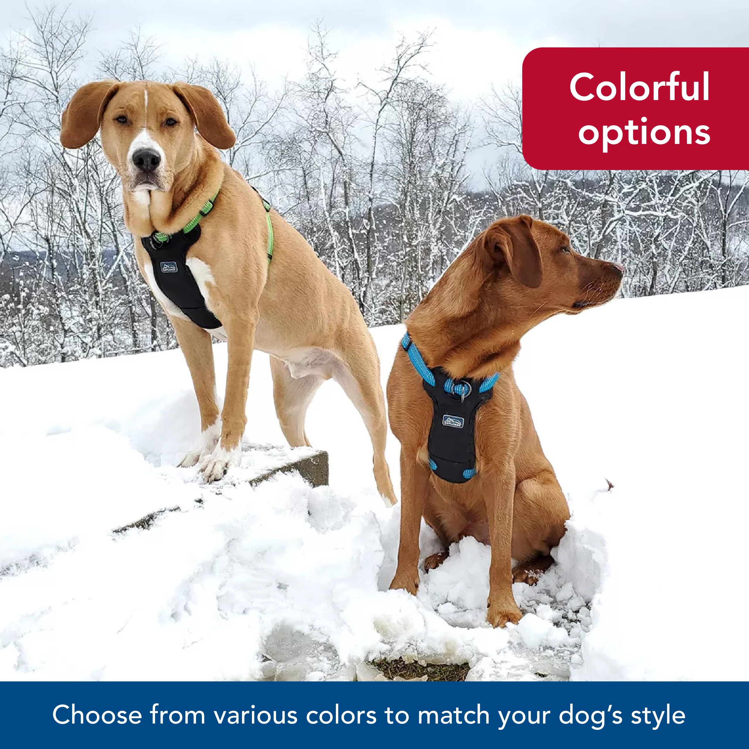 Coastal - K-9 Explorer - Brights Reflective Front-Connect Harness, Lake, 5/8' X 16'-24'