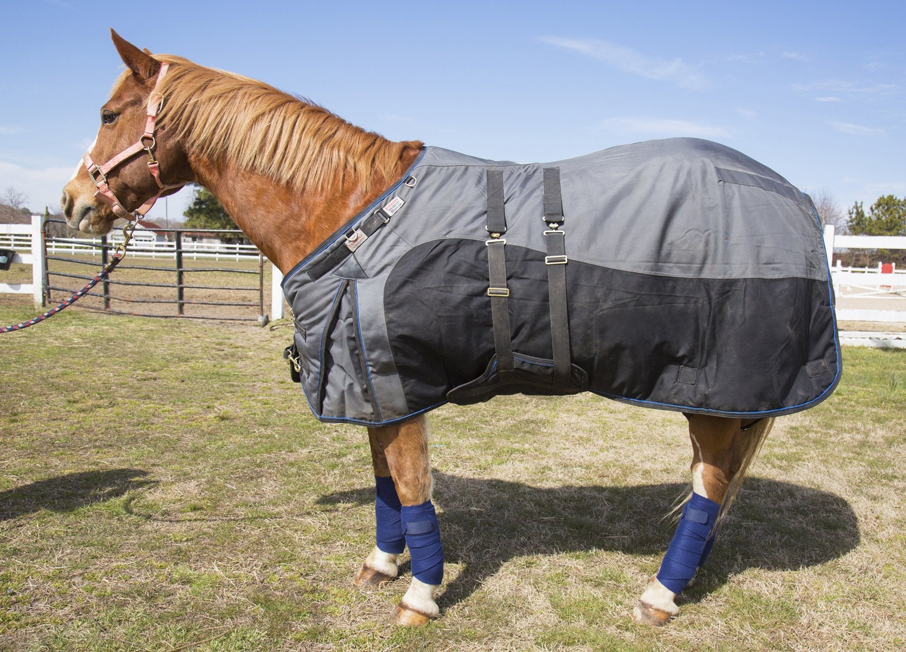 Intrepid International Polo Wraps for Horses Set of 4, Cotton Bandage Wrap, Horse Leg Wraps Vet Wrap for Horses, Pain Free Suppo