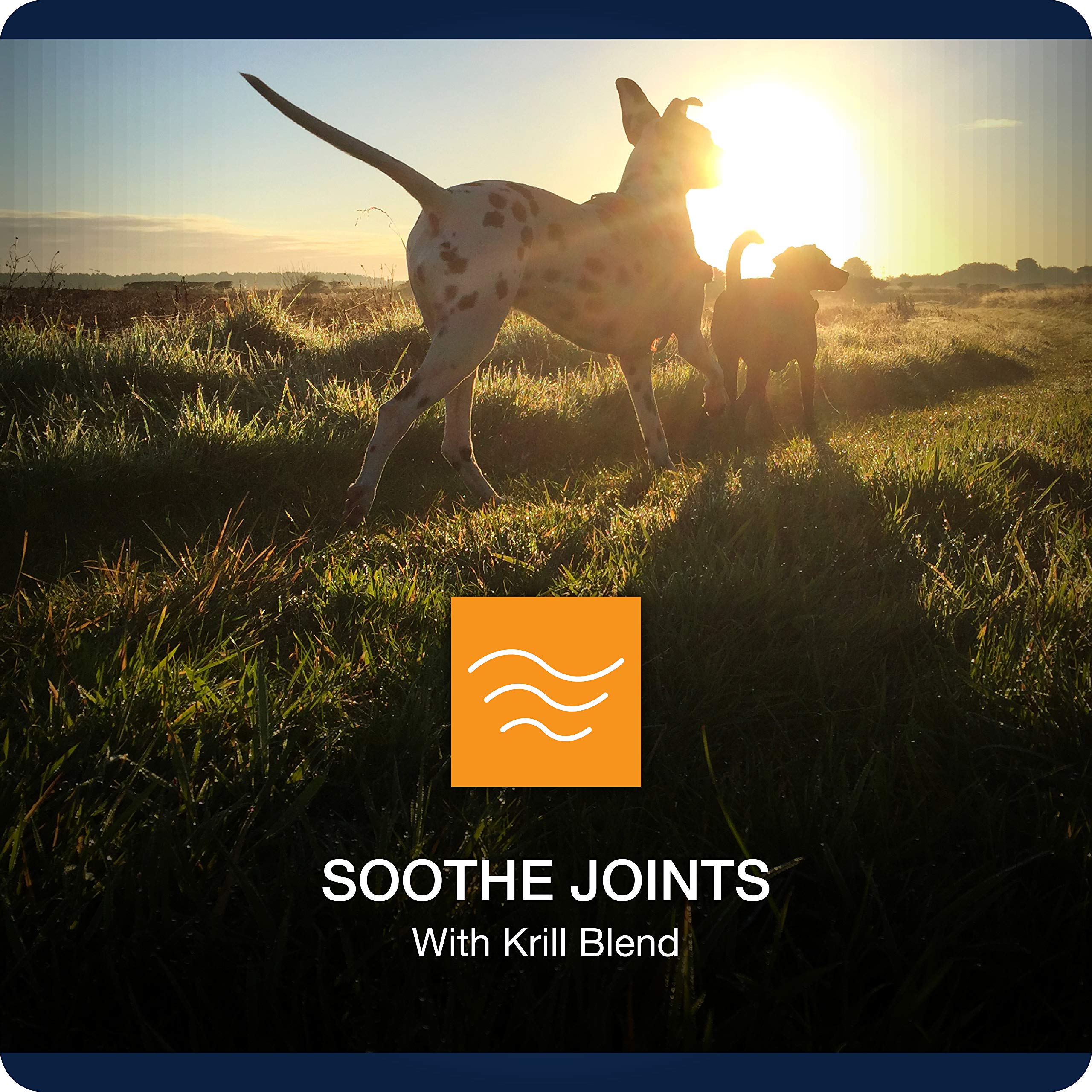 VetIQ Hip & Joint Supplement for Dogs, Anti Inflammatory Joint Support, Glucosamine, MSM, and Krill, Chicken Flavored Soft Chews