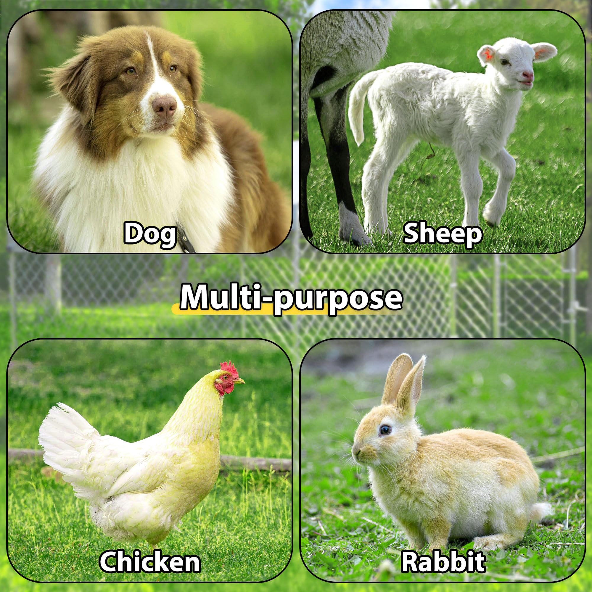 10'X10'X6.56' Large Outdoor Dog Kennel With Roof, Heavy Duty Outside Dog Run Enclosure Dog Pen House Pet Playpen With Galvanized