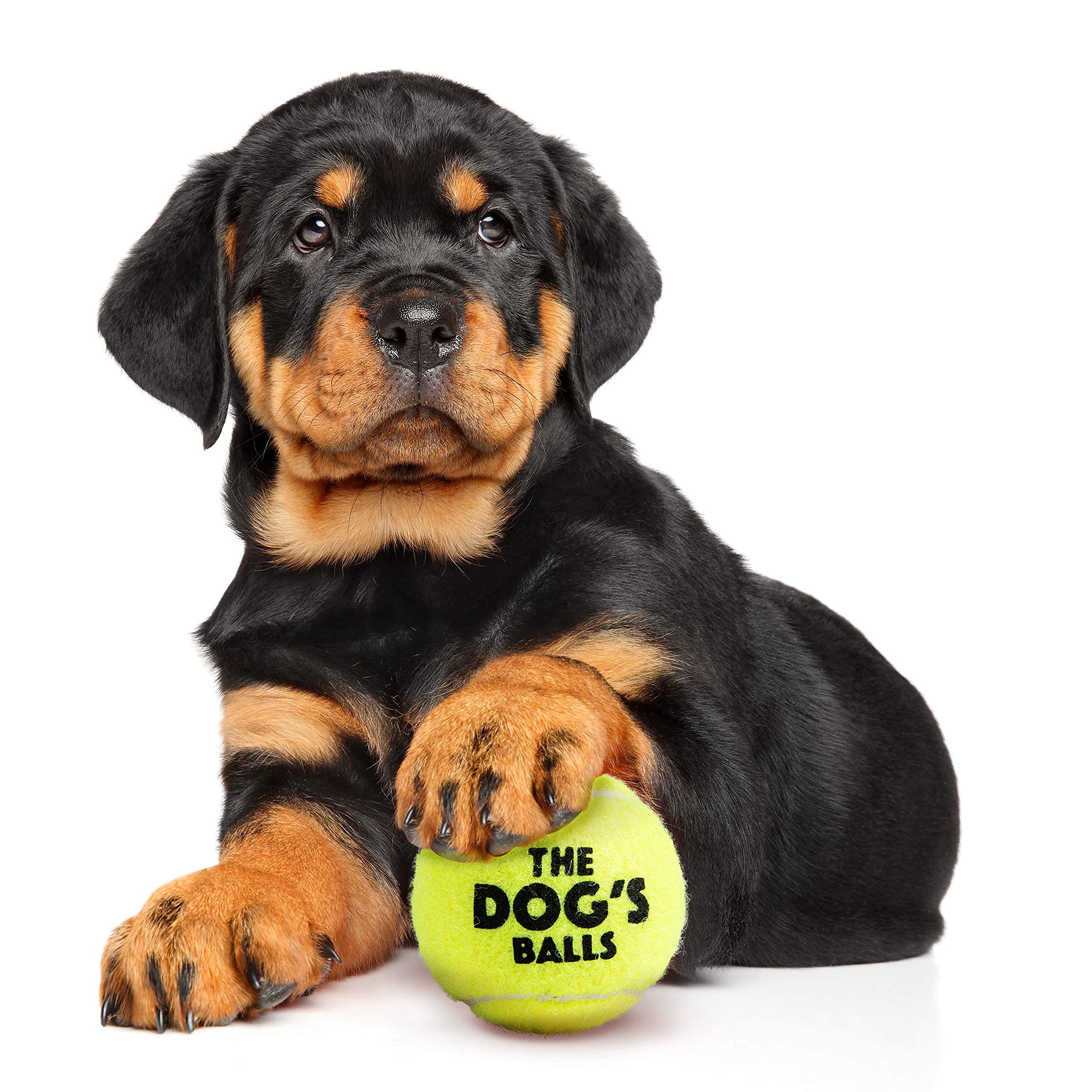 The Little Dog'S Balls, Dog Tennis Balls, 6-Pack Yellow Dog Toy, Strong Dog & Puppy Ball For Training, Play, Exercise & Fetch