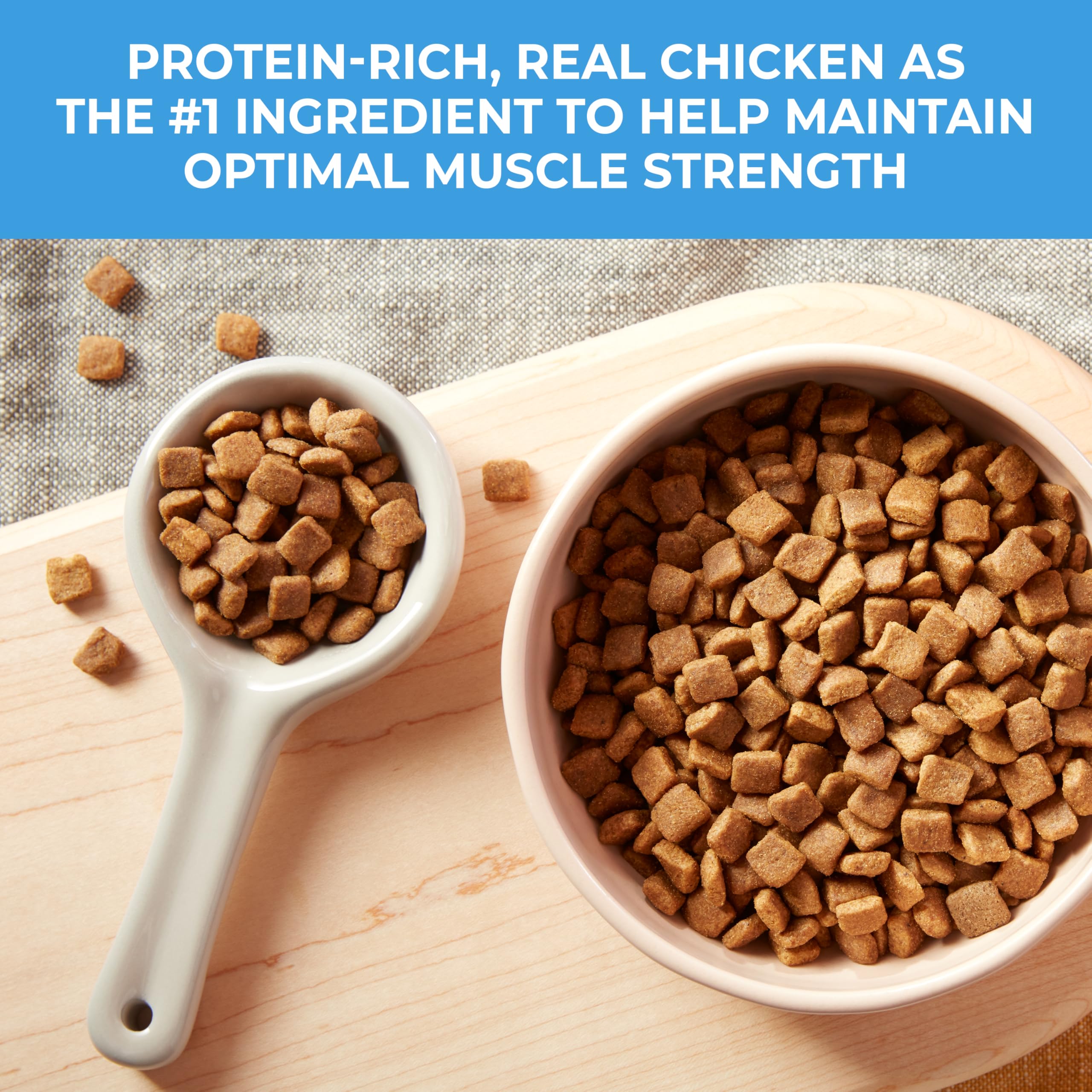 Natures Recipe Grain Free Puppy Chicken, Sweet Potato & Pumpkin Recipe Dry Dog Food, 4 lb. Bag