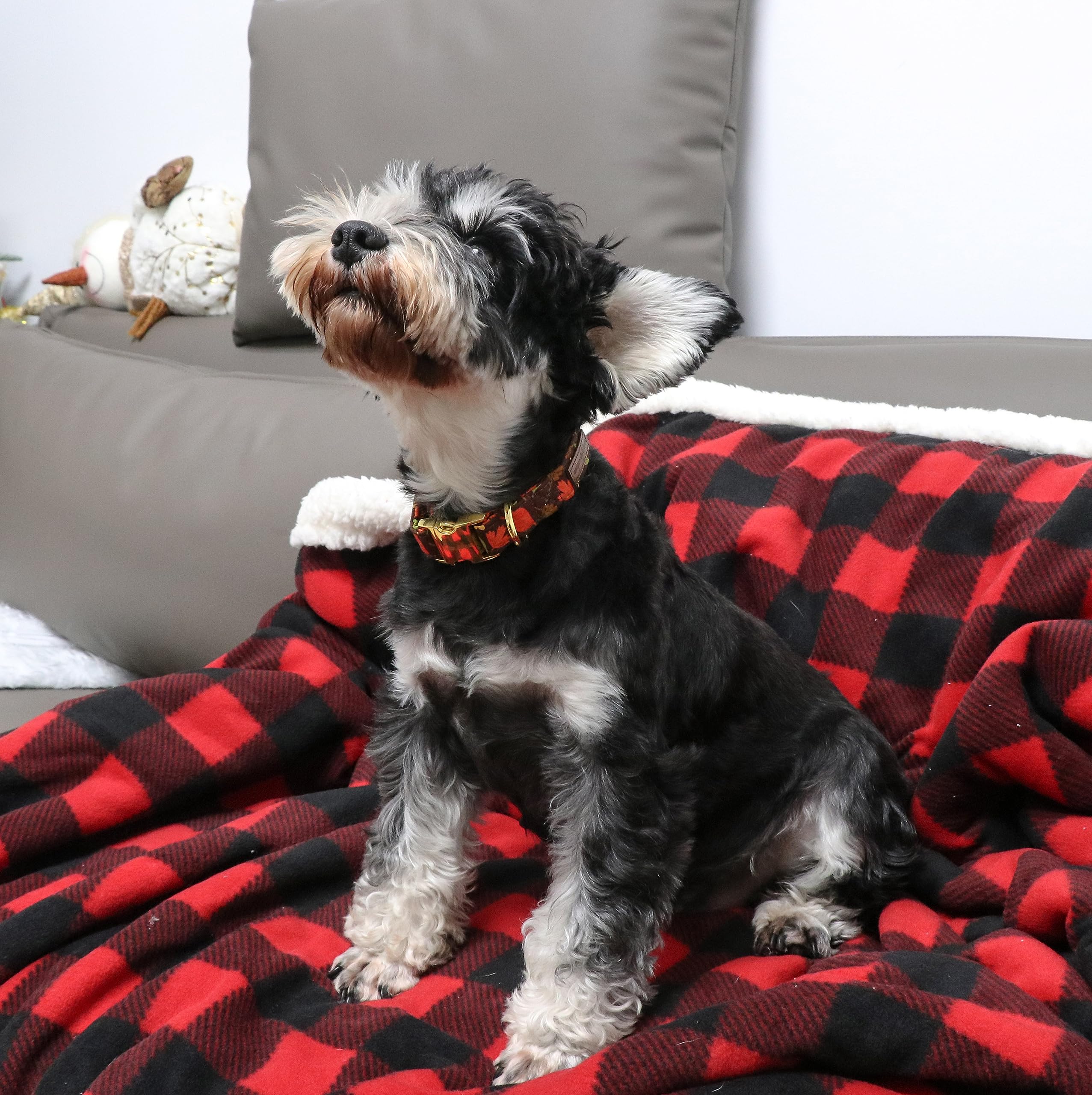 Unique Style Paws Dog Collar Metal Buckle Maple Leaves Collar Gift Durable Cute Collar For Small Medium Large Boys Girls Dogs