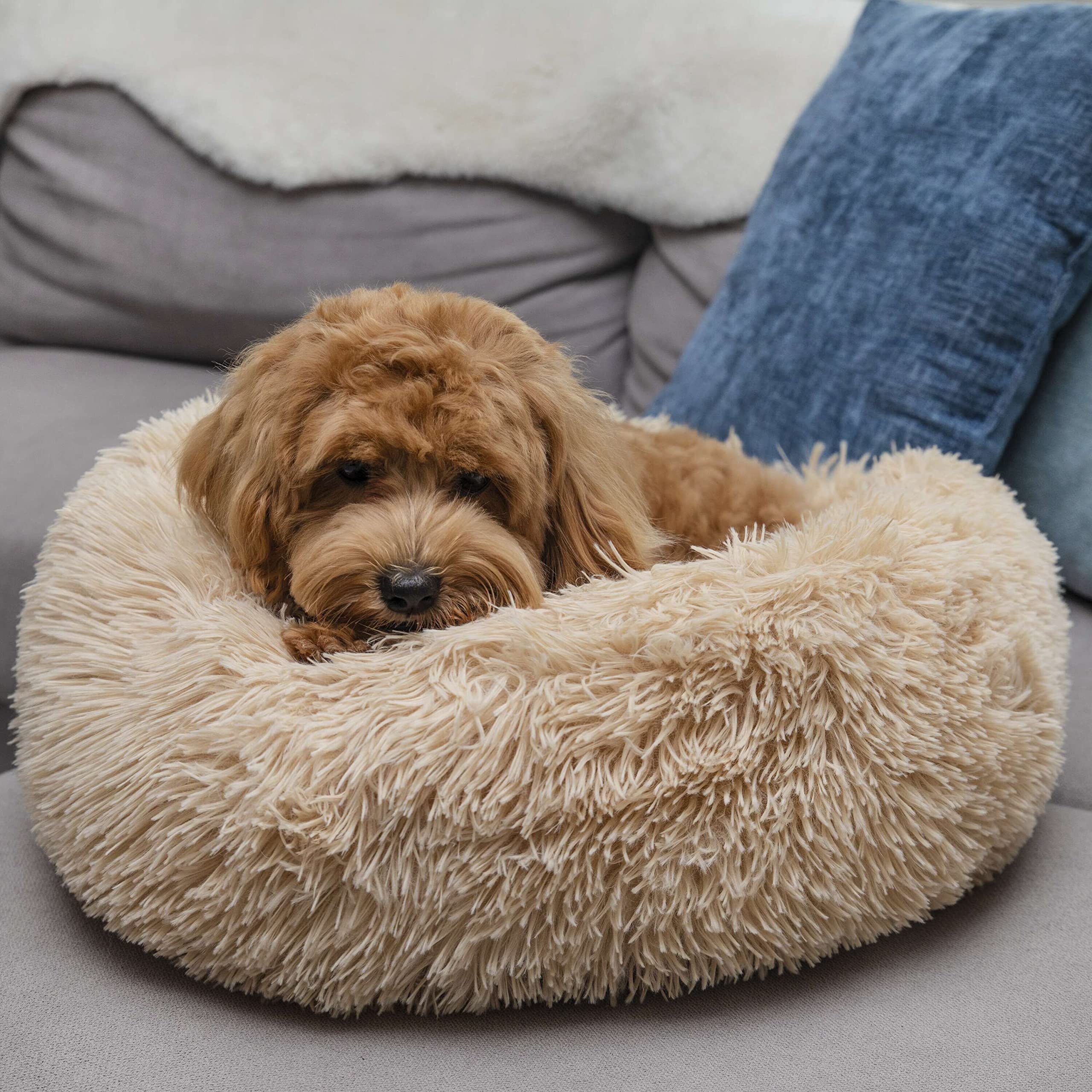 Calmingbedforsmallmediumlargedogsanti-Anxietypuppy Machinewashablewarmingcozysoftpetroundbedfitsupto10-100Lbs (Small (Pack Of 1)