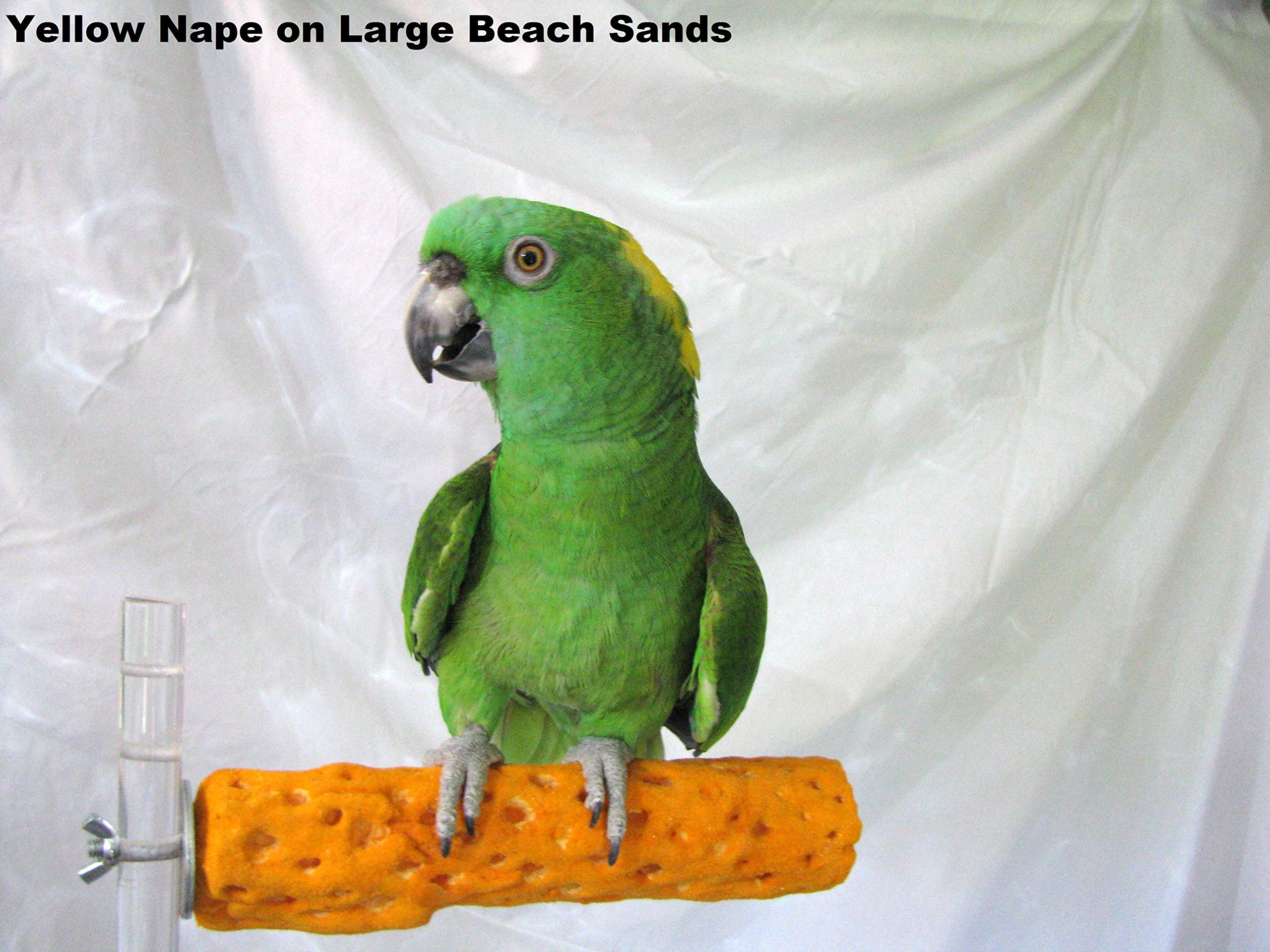 Polly'S Beach Sands Bird Perch, Large