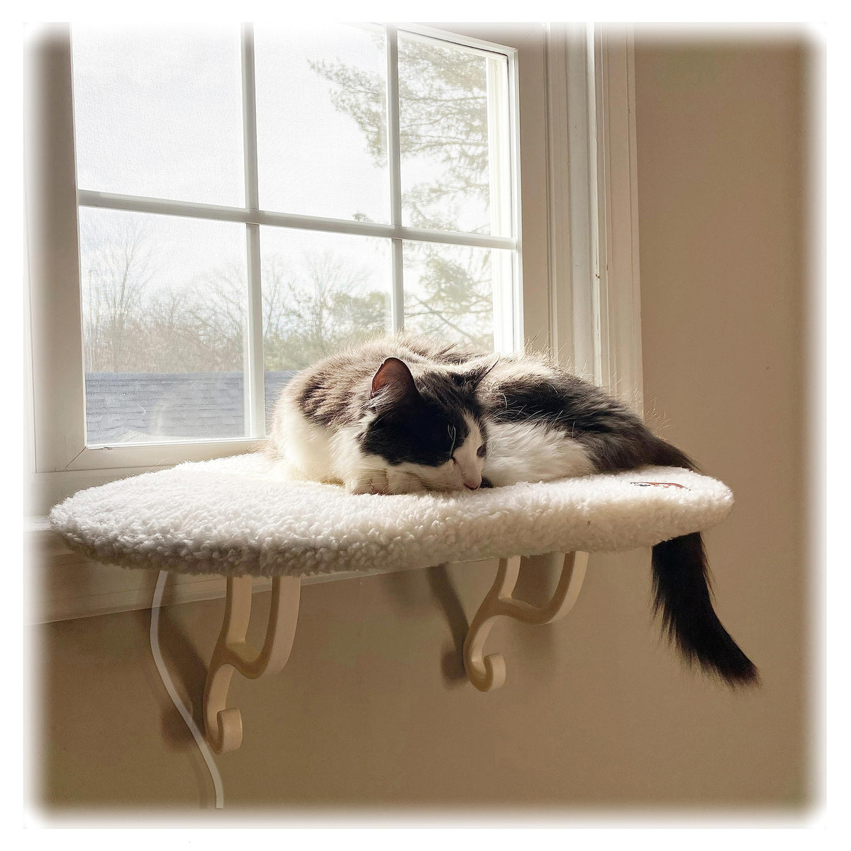 K&H Pet Products Kitty Sill Heated Cat Window Perch for Large Cats, Orthopedic Window Hammock Bed Holds 40LBS, Washable Cover, K