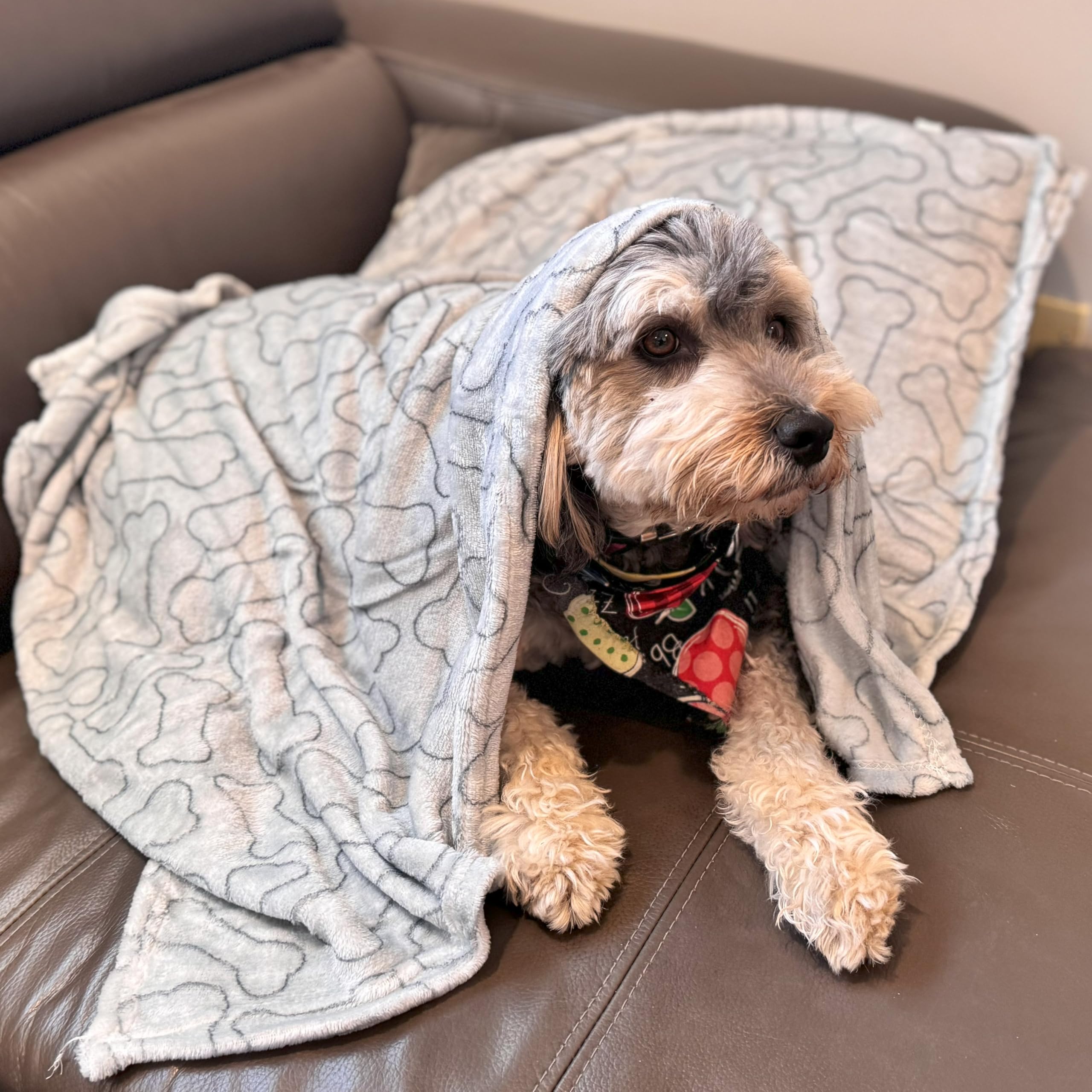 Spot Snuggler Bones Blanket - Ultra Soft, Machine Washable Dog Blanket For Beds, Furniture Protection, Travel, And Crates - 30 X 40 Inch, Grey Fleece Throw With Bone Print Design
