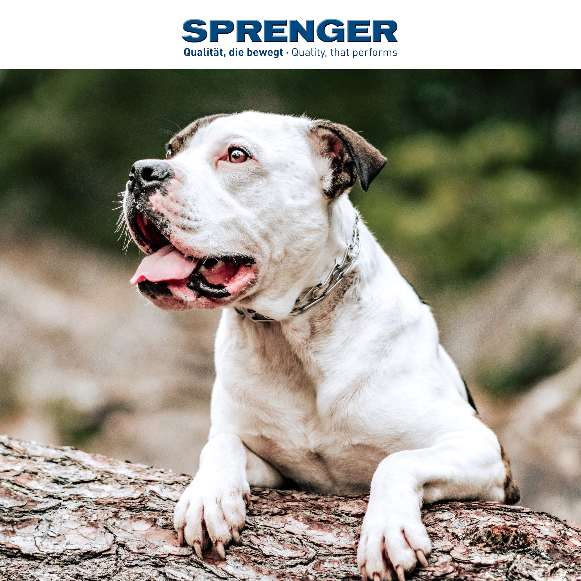 Herm Sprenger Stainless Steel Dog Collar With Swivel D-Ring, 3 Extra Links, 30 Comfort Tips For Small Medium Large Dogs Training