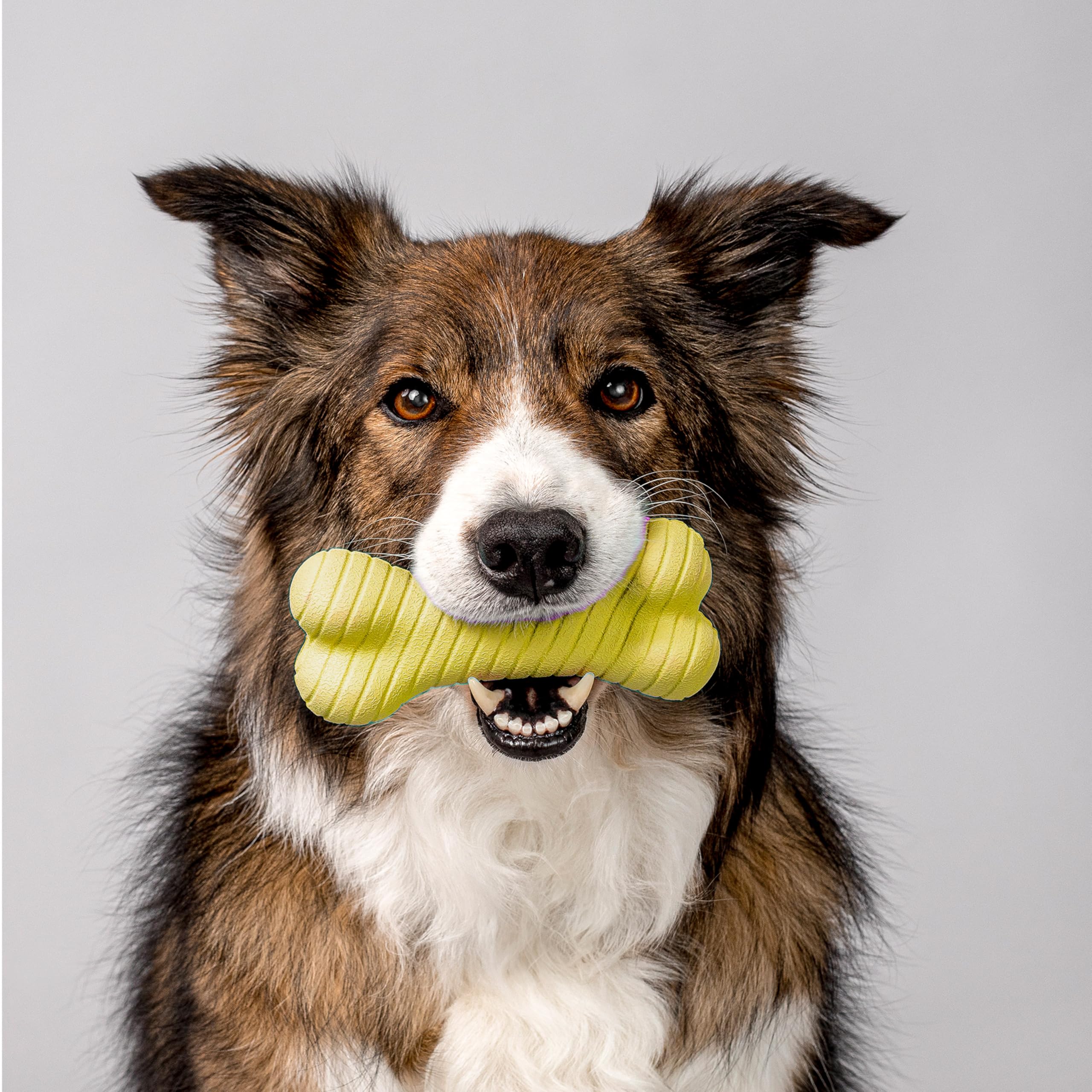 Playology Dual Layer Bone | Engaging All Natural Chicken Scented Dog Toy, Yellow Bone For Medium Dogs Up To 50Lbs | Interactive & Durable For Tough Chewers