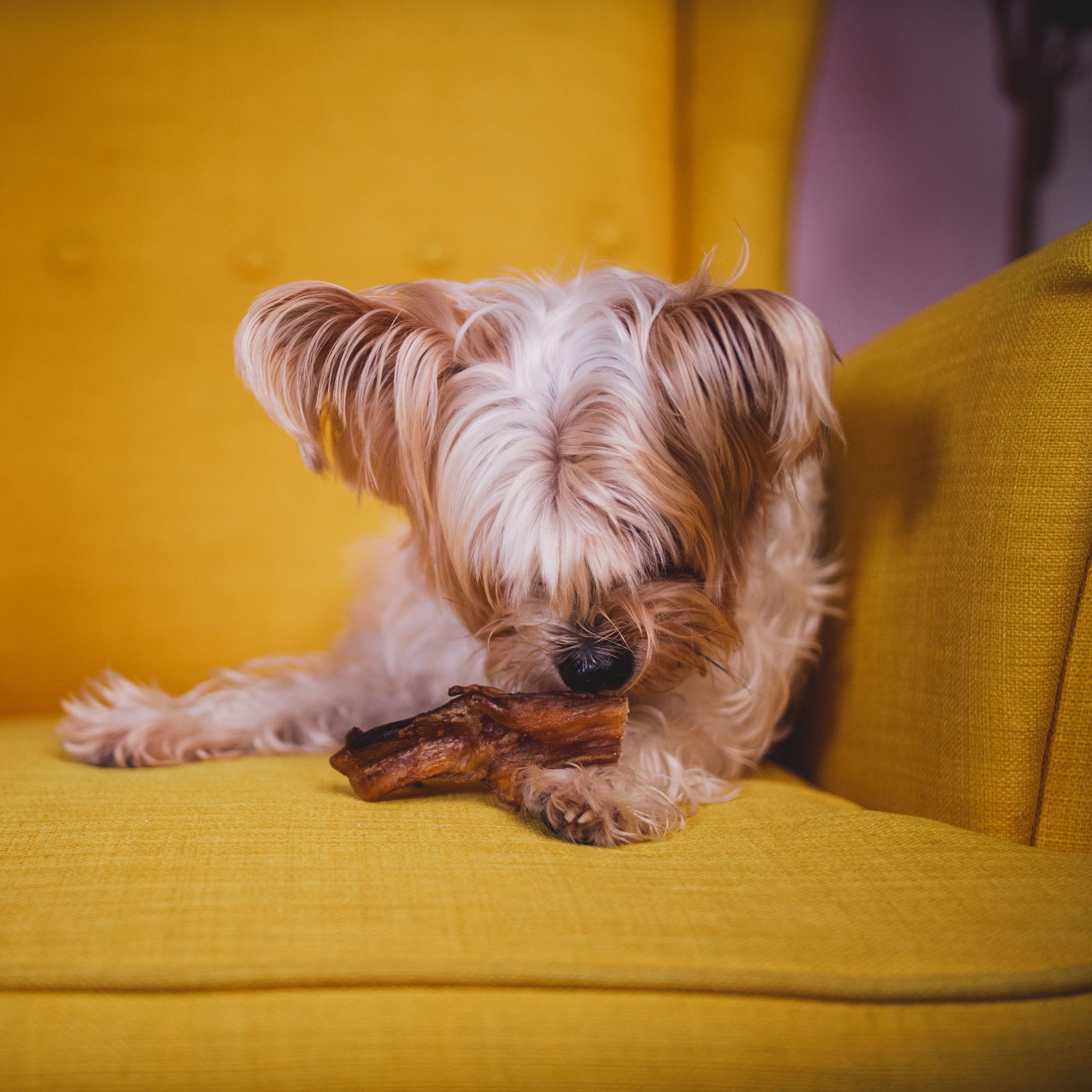 Pupford Lamb Jerky Treats for Dogs for Large & Small Dogs of All Ages | Made in USA, 100% Real Meat & No Fillers | Dogs Love The