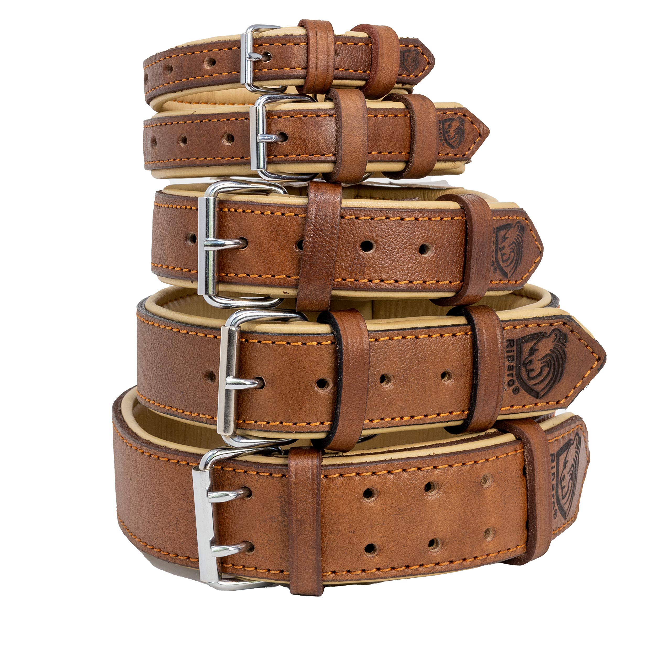 Riparo Genuine Leather Padded Dog Heavy Duty K-9 Adjustable Collar (L, Black/Orange Thread)