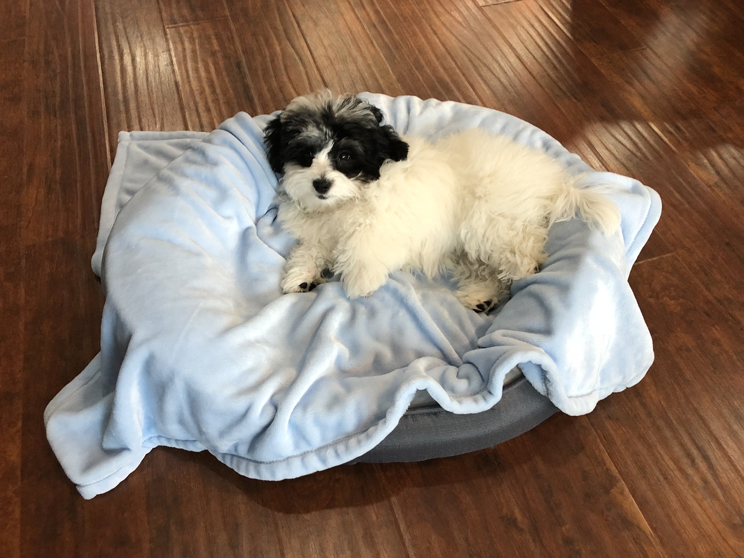 Super Soft Premium Pet Blankets - Best Friend Blue Pet Blanket - 30' X 40' - Designed For Puppies & Kittens - Great For Pet Beds And Carriers