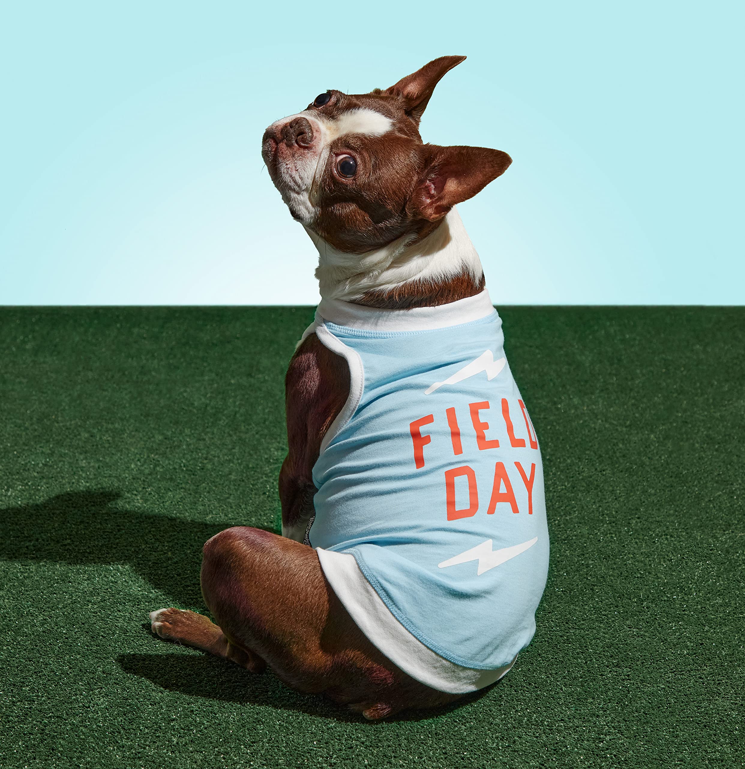 Brass Monkey Field Day Dog Tank; Pre-Shrunk Cotton Pet Muscle Tank; Medium (22' Chest); Cute Dog Accessories With Eye-Catching