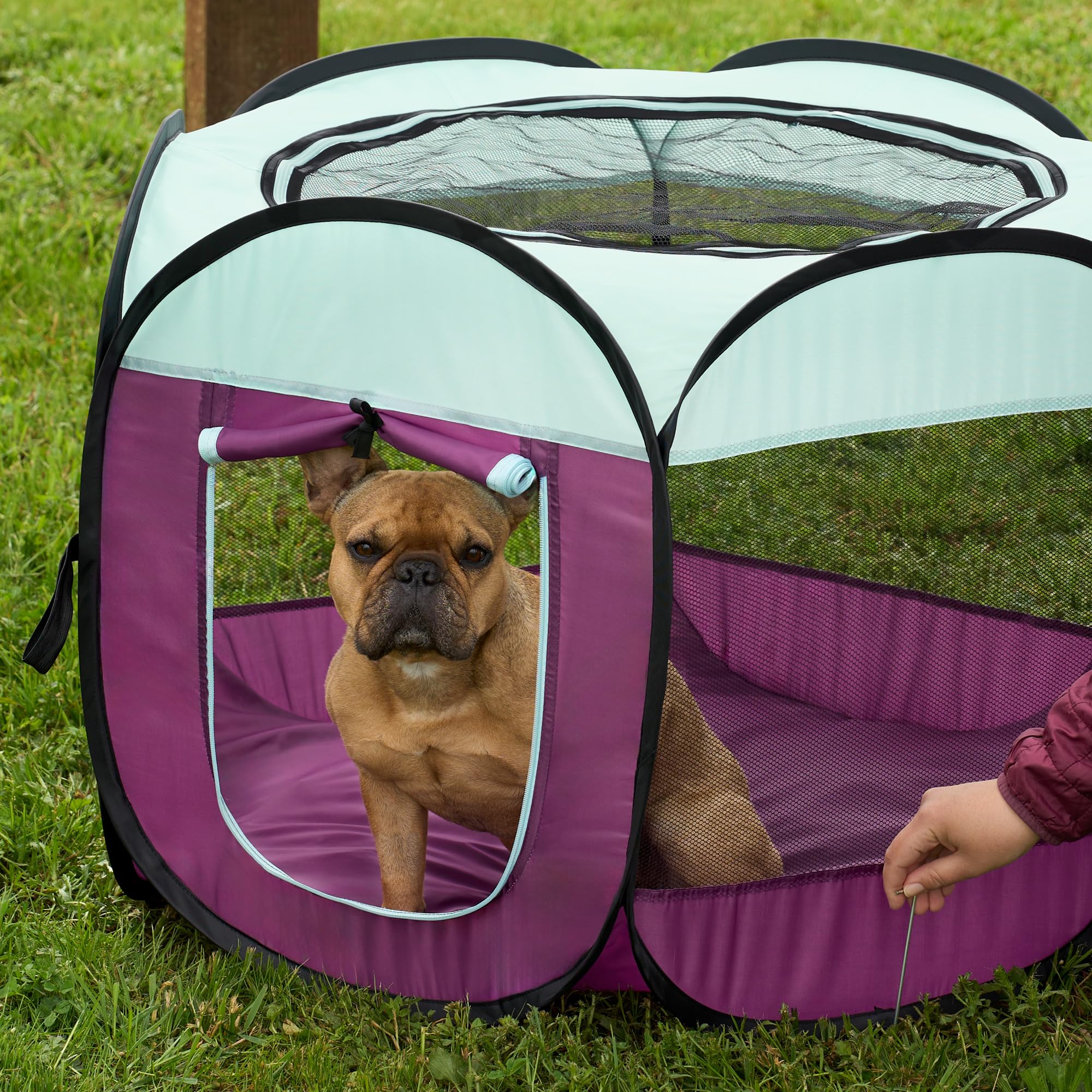 Furhaven Portable Dog Playpen Cat Tent, Pet Playground/Kennel Foldable Indoor Outdoor Zippered Puppy Crate - Purple, Small