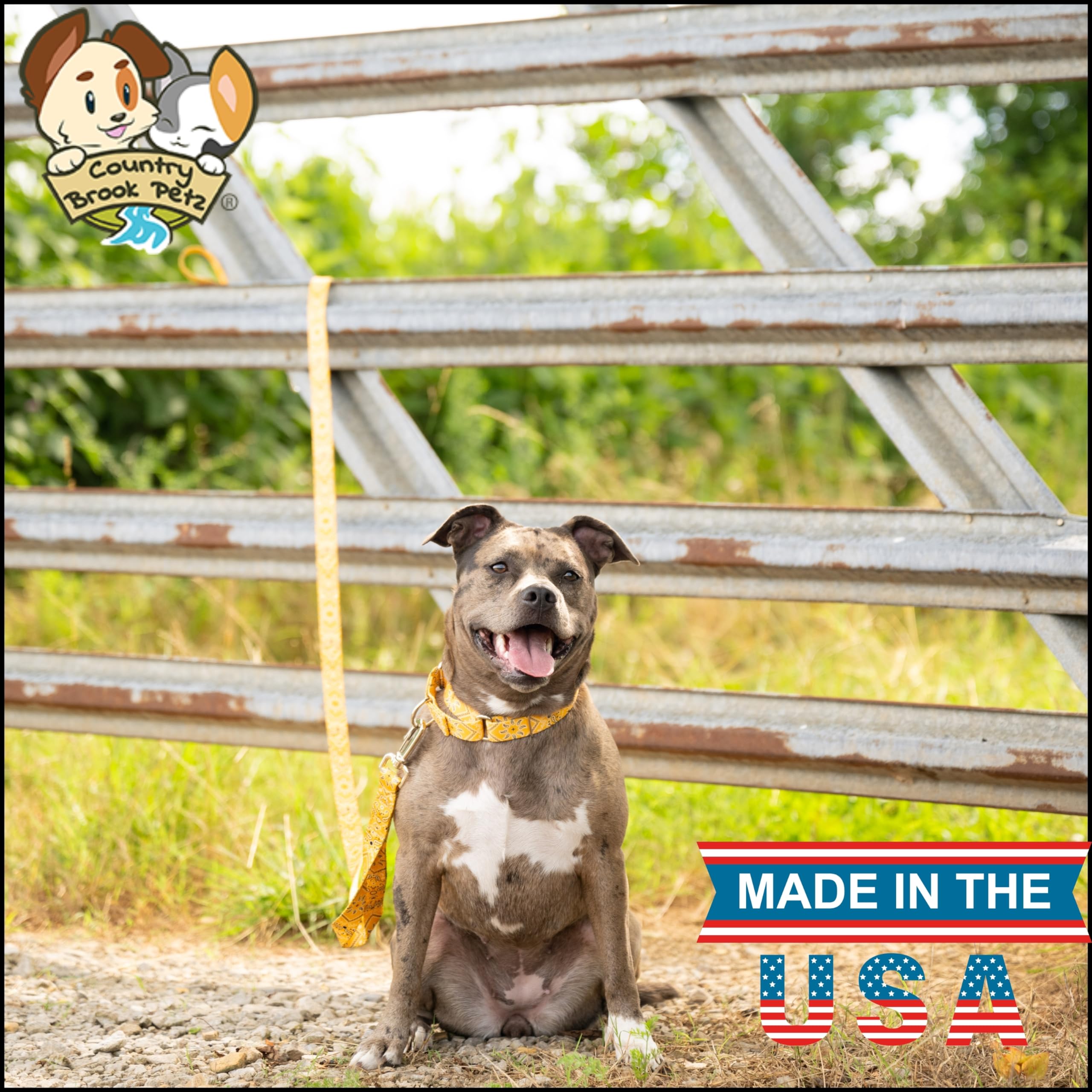 Country Brook Petz - Yellow Bandana Martingale Dog Collar - Country And Western Collection Featuring Rustic Designs (1 Inch, Lar