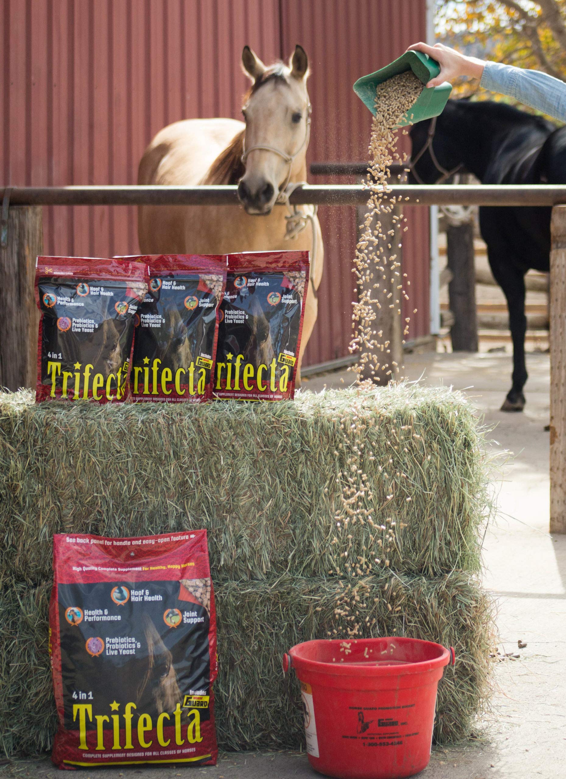 Horse Guard Trifecta 10 lb, 4 Equine Vitamin Minerals in 1 Complete Supplement