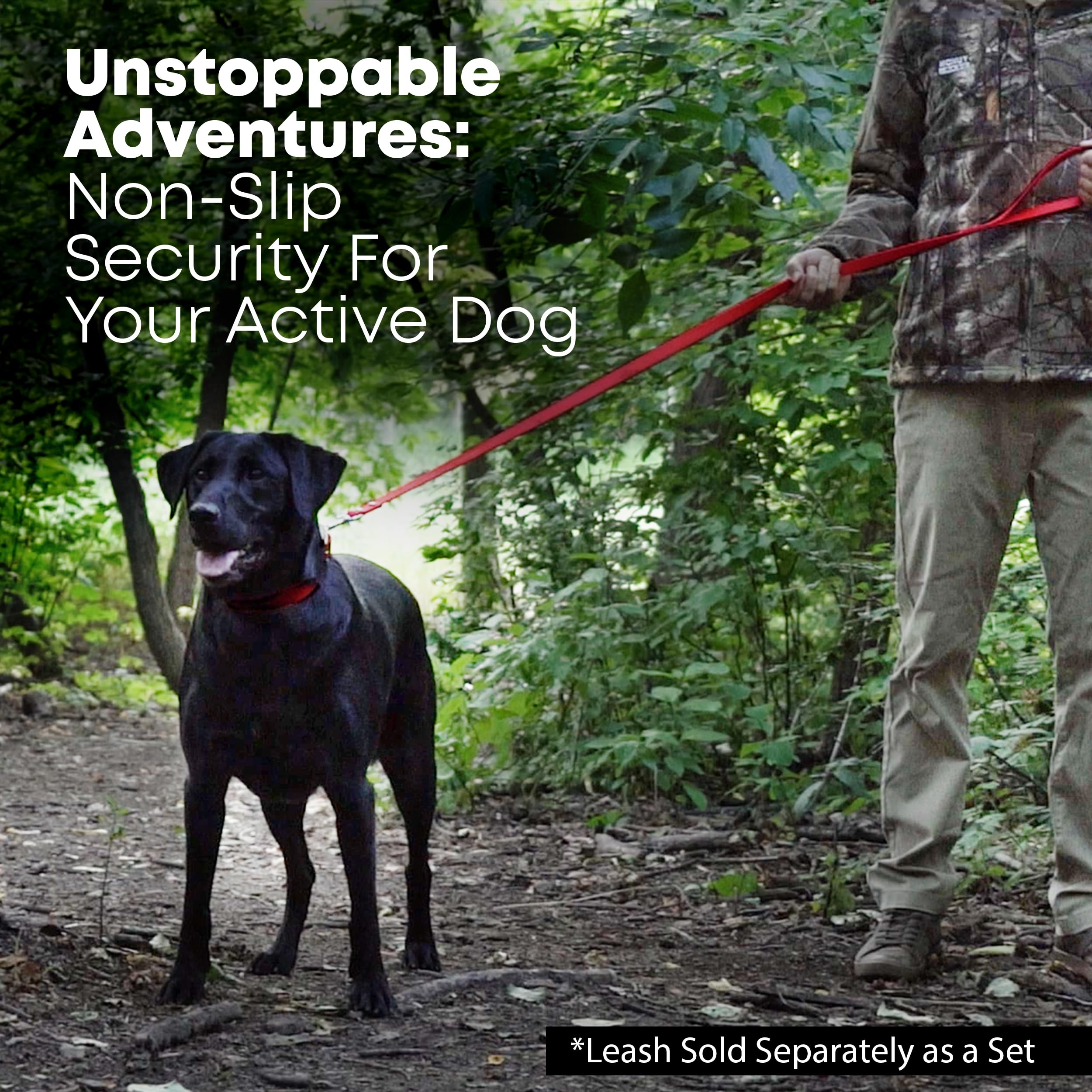 Regal Dog Products Small Red Dog Collar With Heavy Duty Double Buckle & D Ring | Vinyl Coated, Custom Fit, Adjustable Biothane D