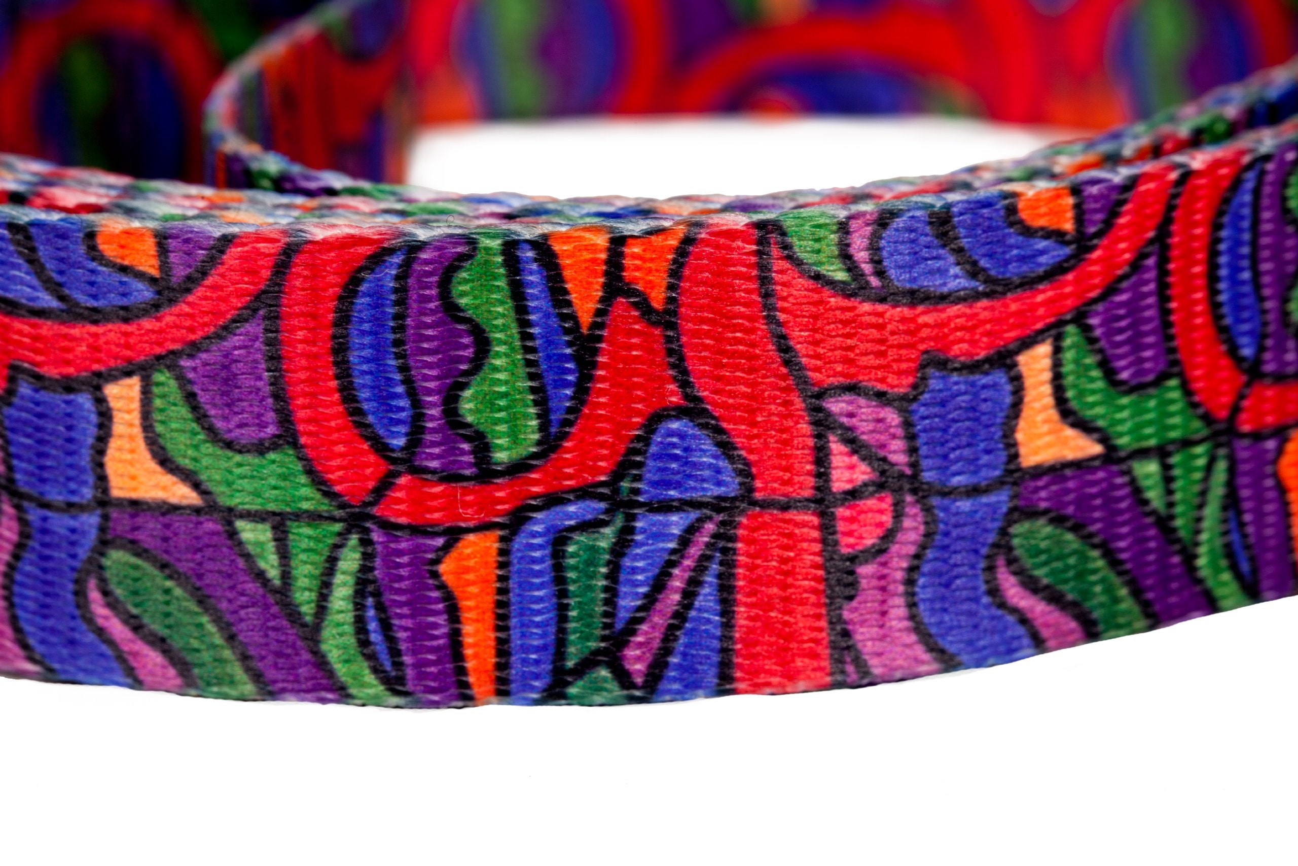 Dutch Dog Amsterdam Eco Friendly Van Heemskerck Fashion Dog Leash, 5-Feet