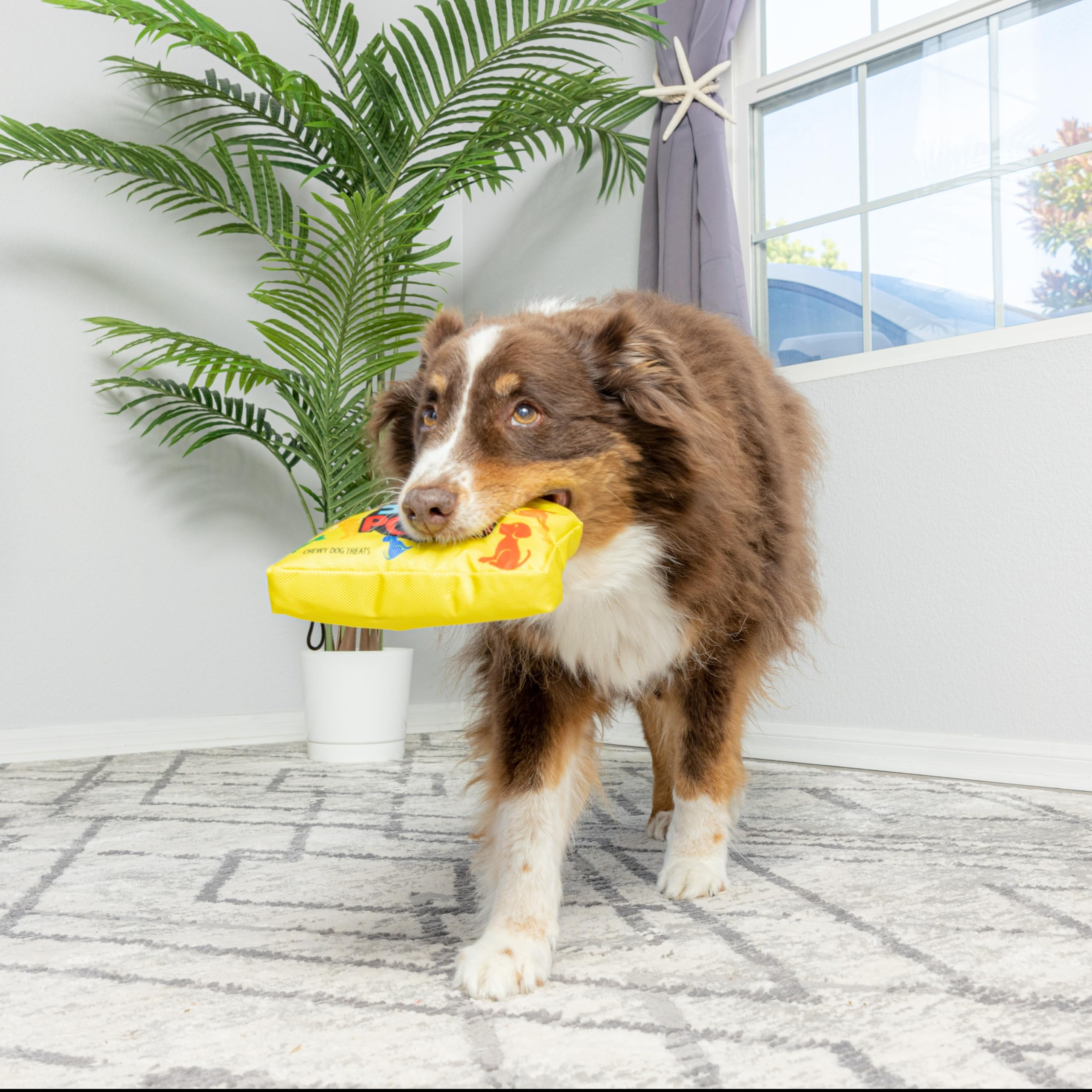 Spot By Ethical Products - Fun Candy - Whimsical Funny Dog Squeak Toys - Sour Pooch