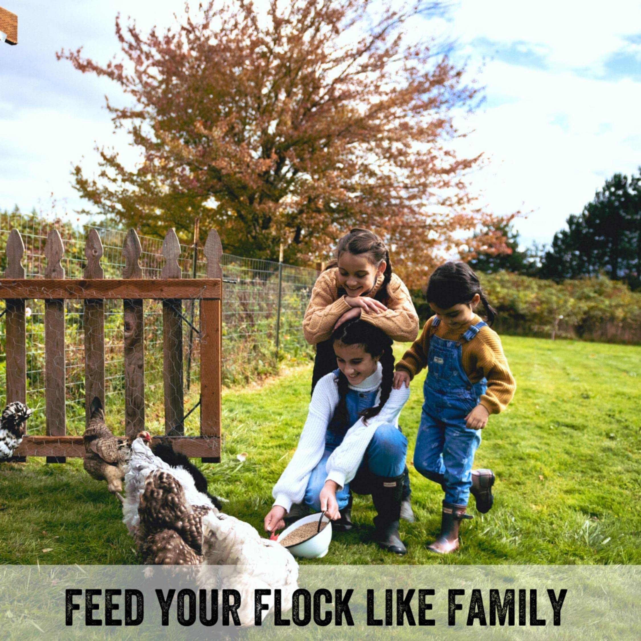 Scratch and Peck Feeds Whole Grain Layer Crumbles Chicken and Duck Feed - 25 lbs Bag - Corn-Free and Soy-Free - 16% Protein, Cer